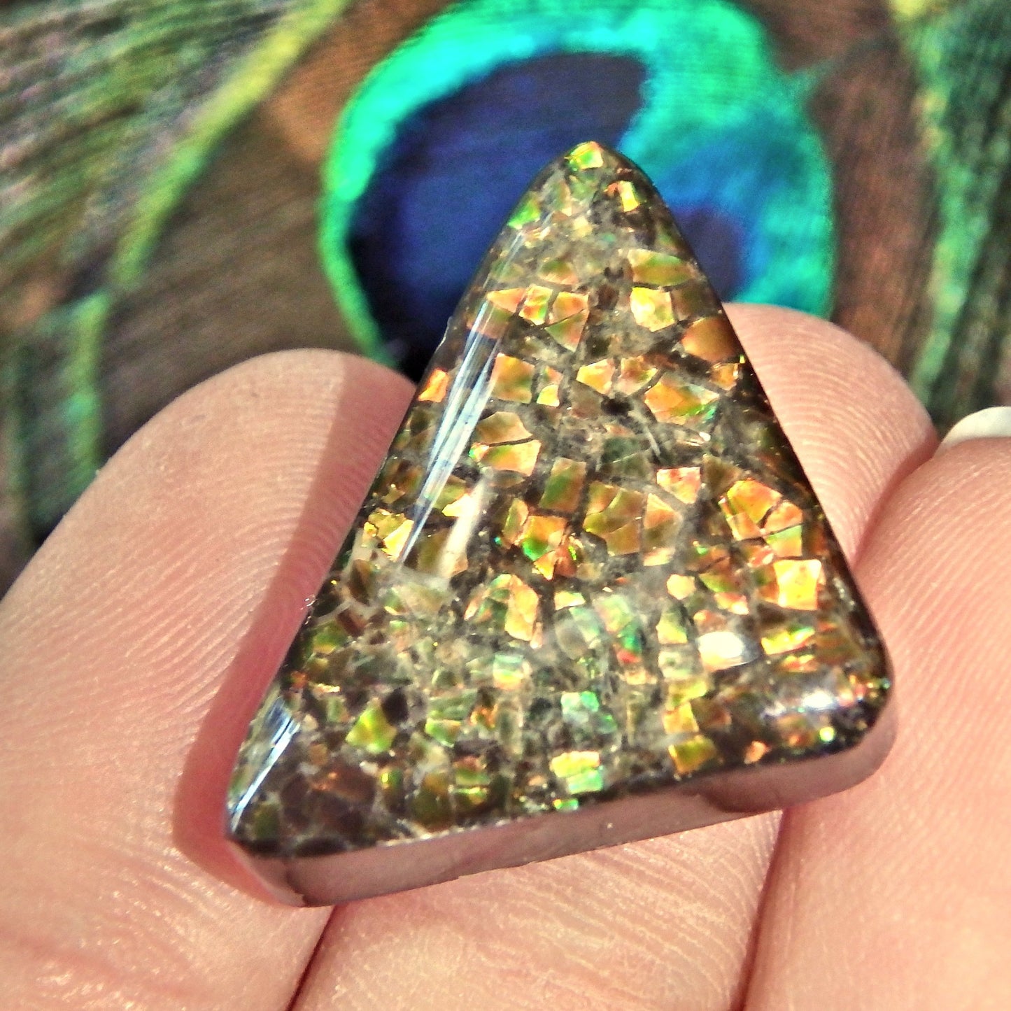 Multi Color Sparkle Alberta Ammolite Cabochon Ideal for Crafting - Earth Family Crystals