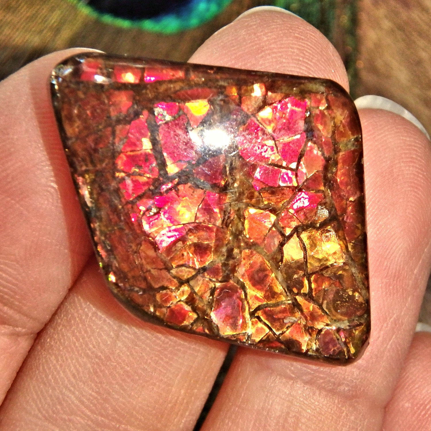 Moving Blood Red Sparkle Alberta Ammolite Cabochon Ideal for Crafting - Earth Family Crystals