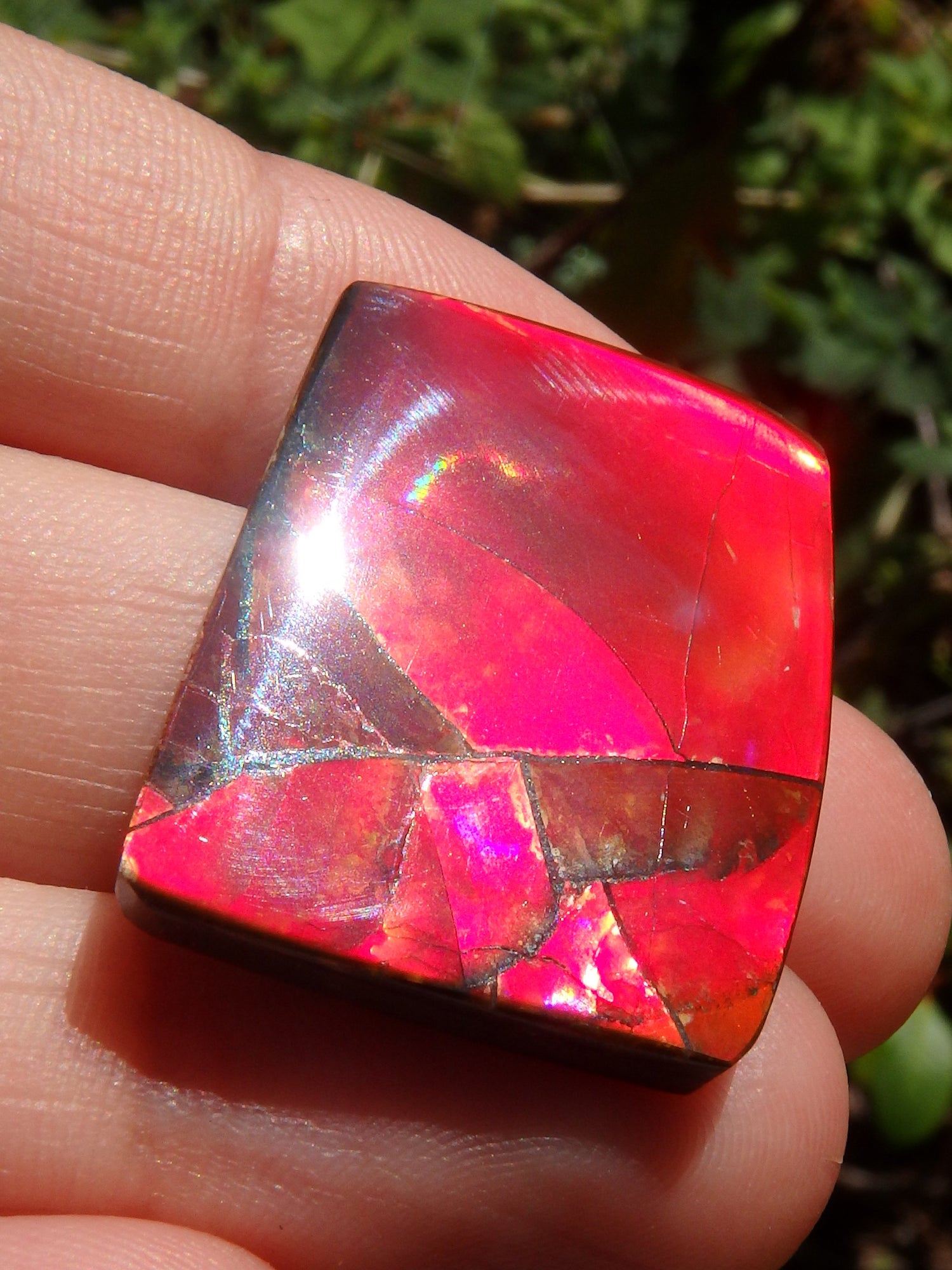 Incredible Solid Red Flash Alberta Ammolite Cabochon~Ideal for Jewellery Making! - Metiz Tier Price