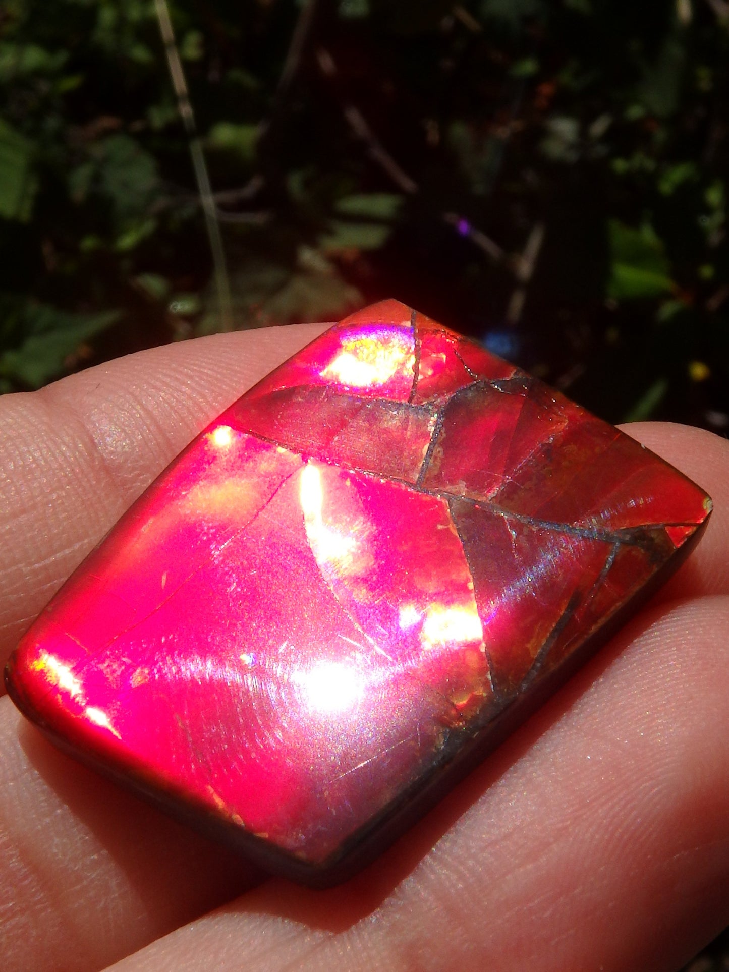 Incredible Solid Red Flash Alberta Ammolite Cabochon~Ideal for Jewellery Making! - Metiz Tier Price