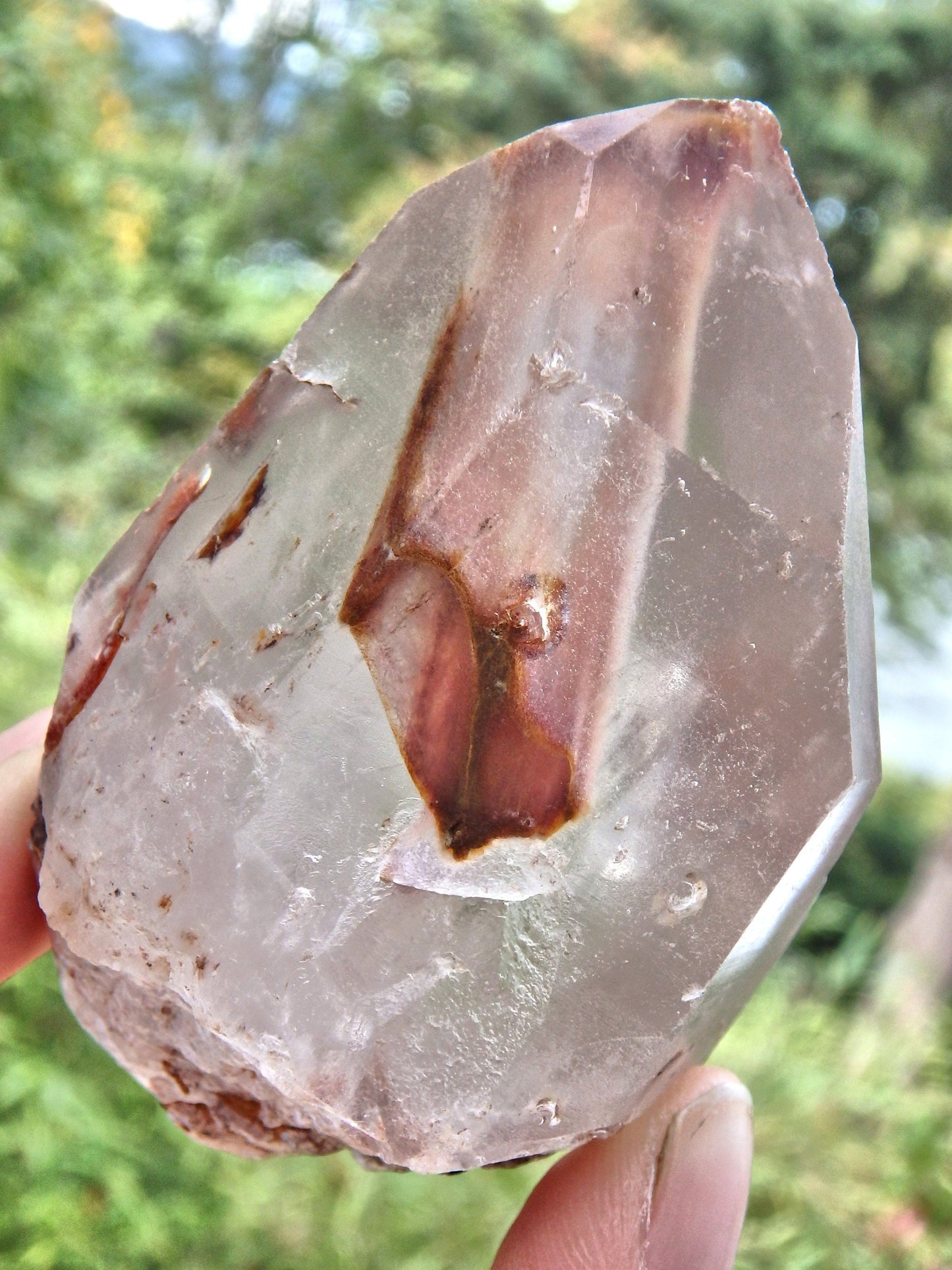  Captured in Time Lightening Cloud Angel Phantom Quartz Point From Brazil