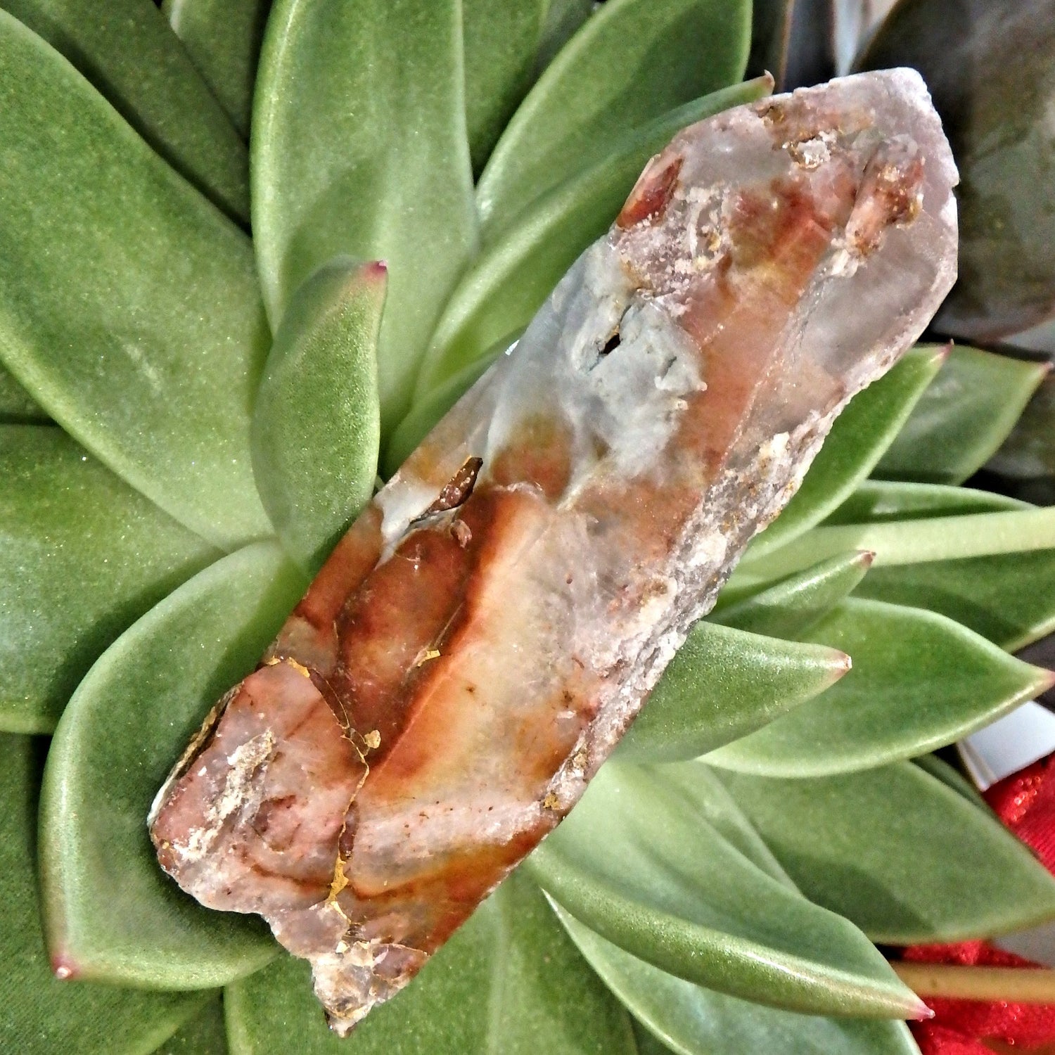 Natural Rusty Red Frosted Angel Phantom Quartz Point From Brazil - Earth Family Crystals