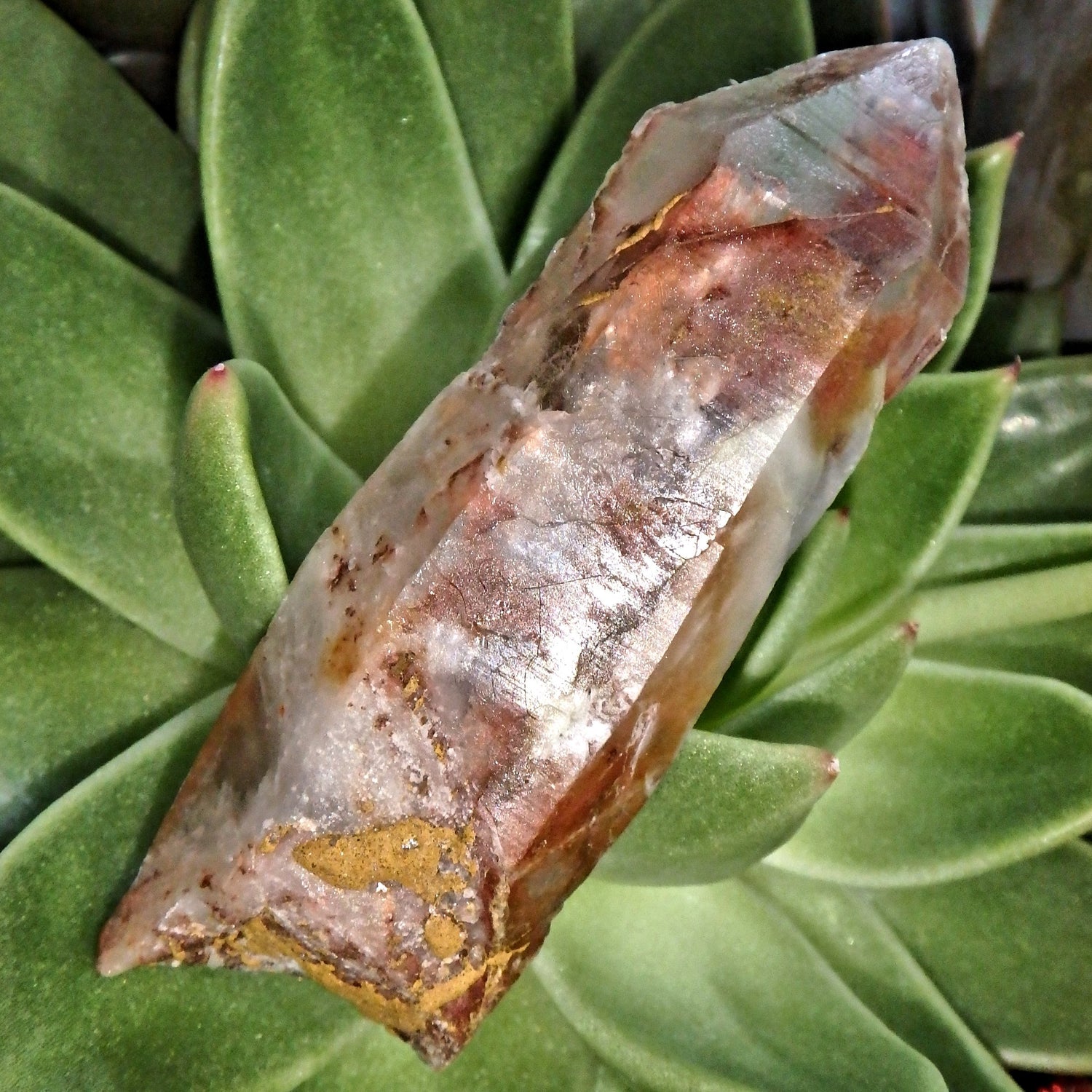 Natural Rusty Red Frosted Angel Phantom Quartz Point From Brazil - Earth Family Crystals