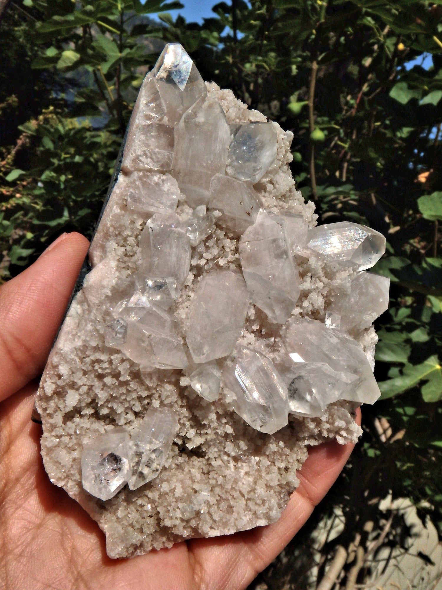  Clear Apophyllite DT Points Nestled in Druzy Matrix From India1