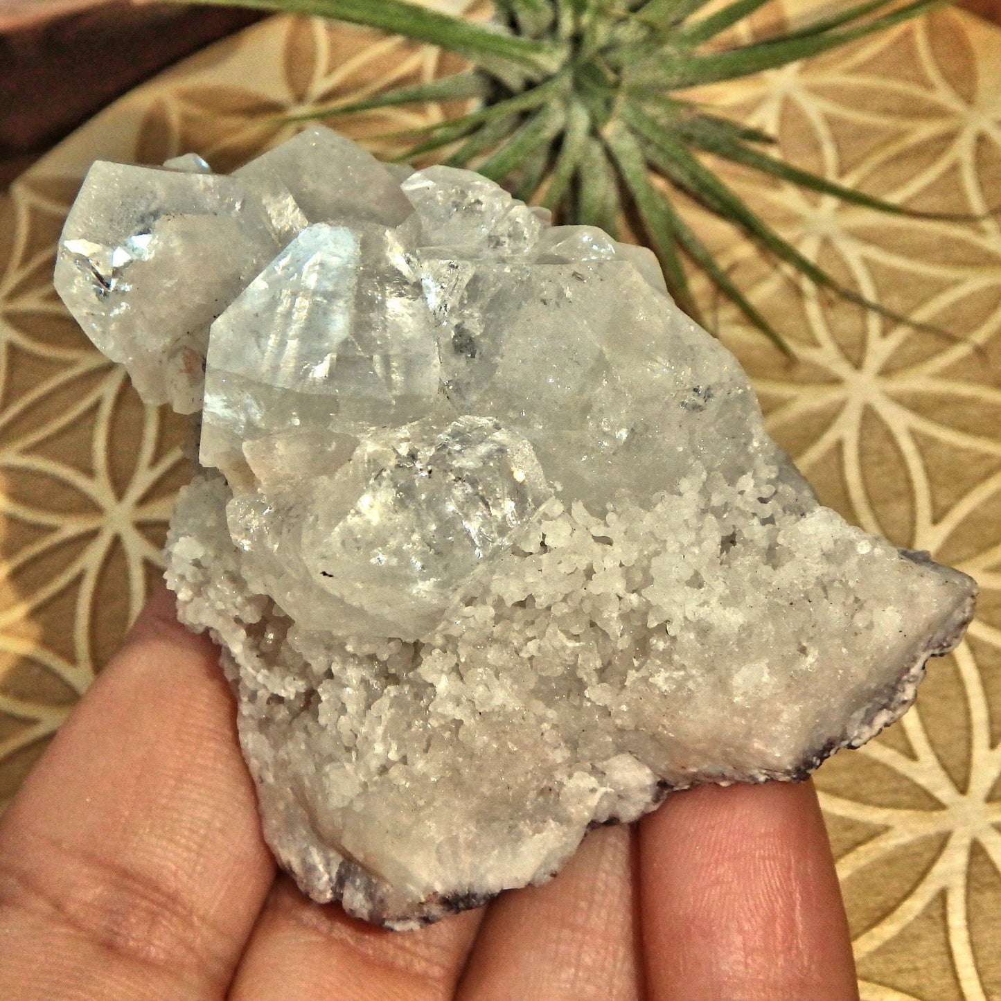  Angelic Clear Apophyllite Points Nestled on Matrix From India