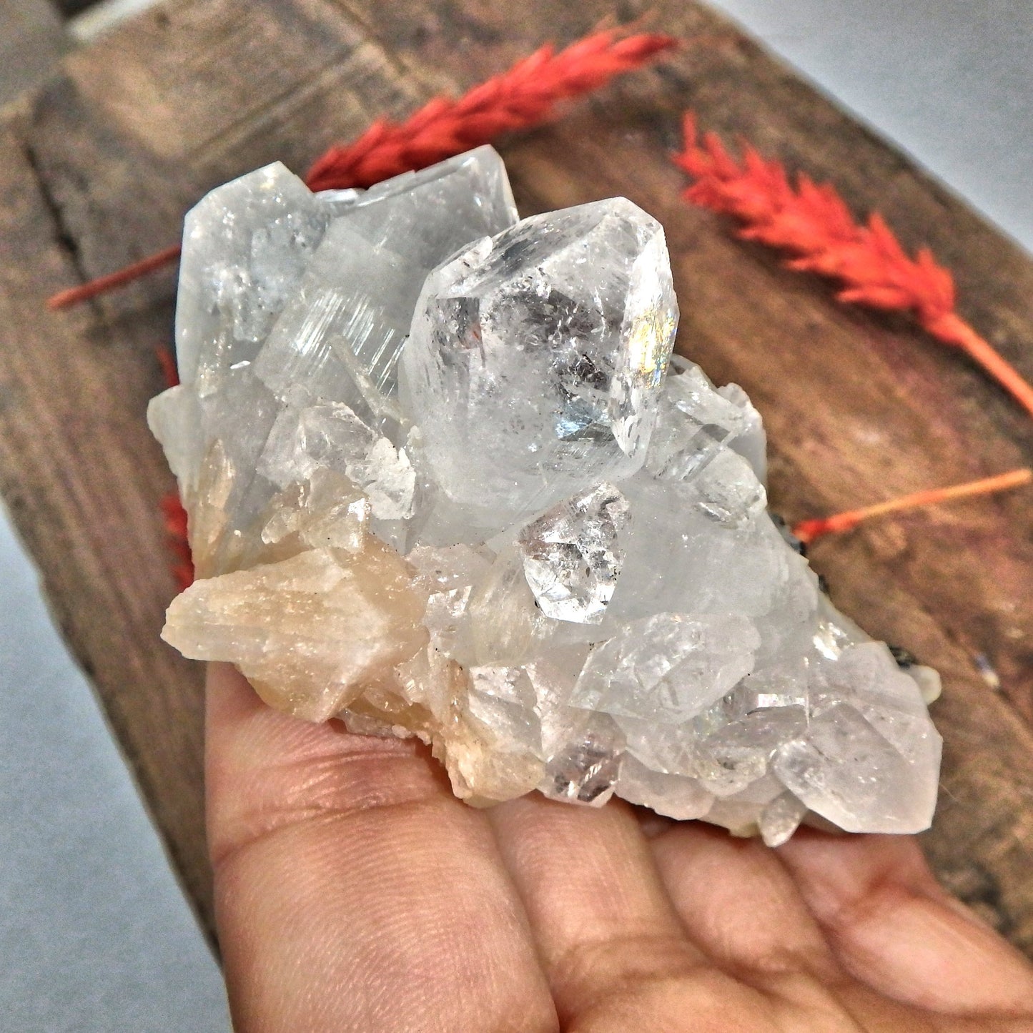 High Brilliance Clear Apophyllite & Stilbite Cluster From India - Earth Family Crystals