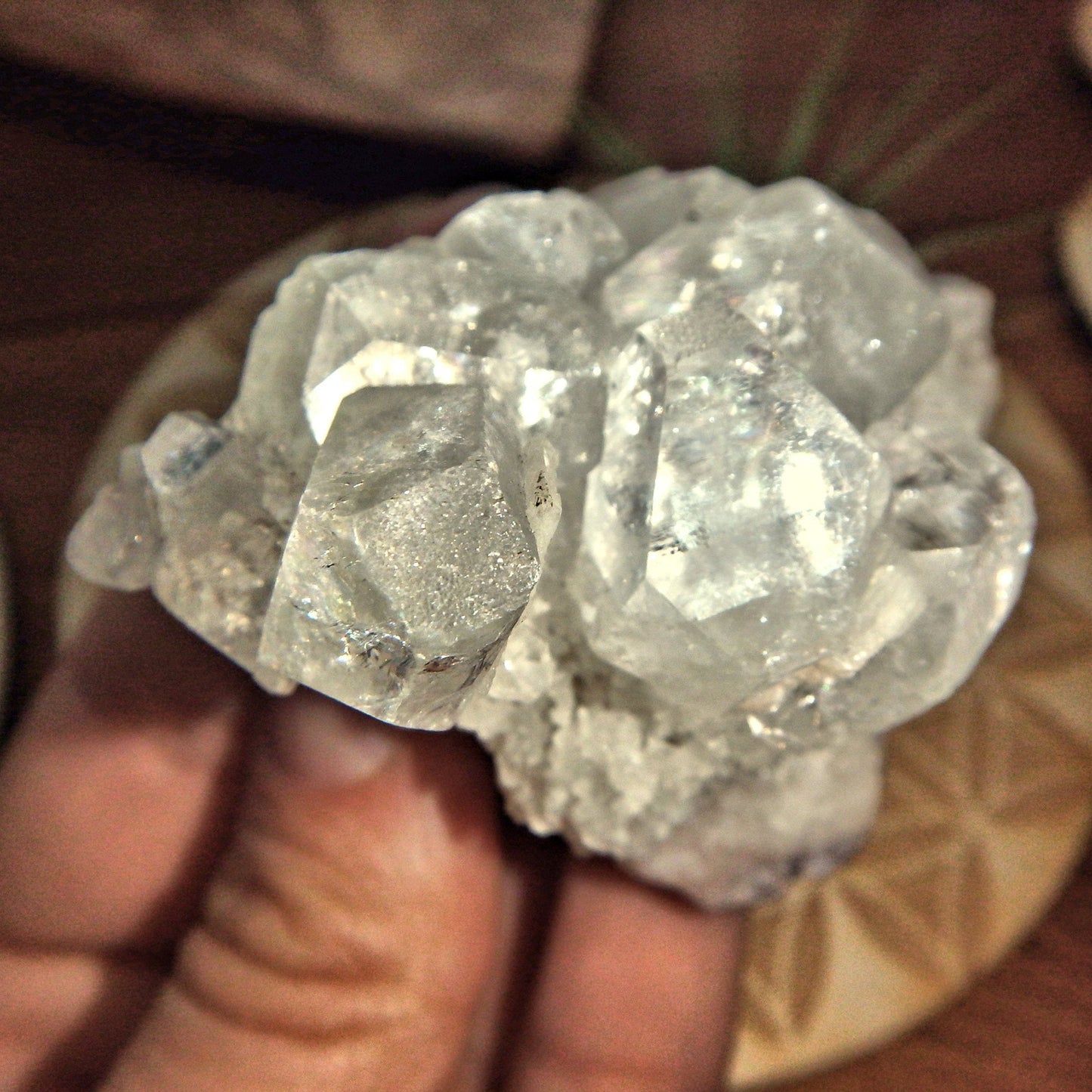  Angelic Clear Apophyllite Points Nestled on Matrix From India