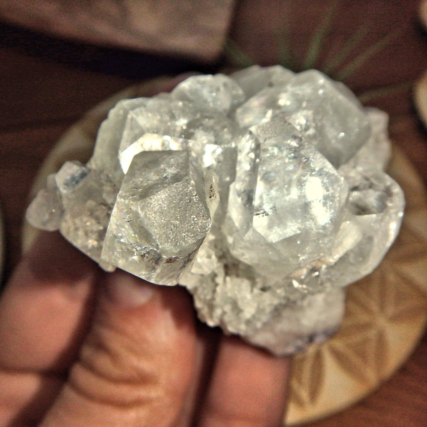  Angelic Clear Apophyllite Points Nestled on Matrix From India