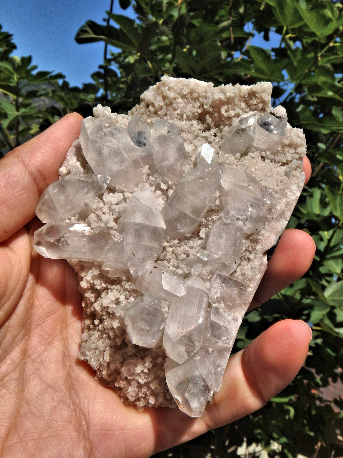  Clear Apophyllite DT Points Nestled in Druzy Matrix From India1