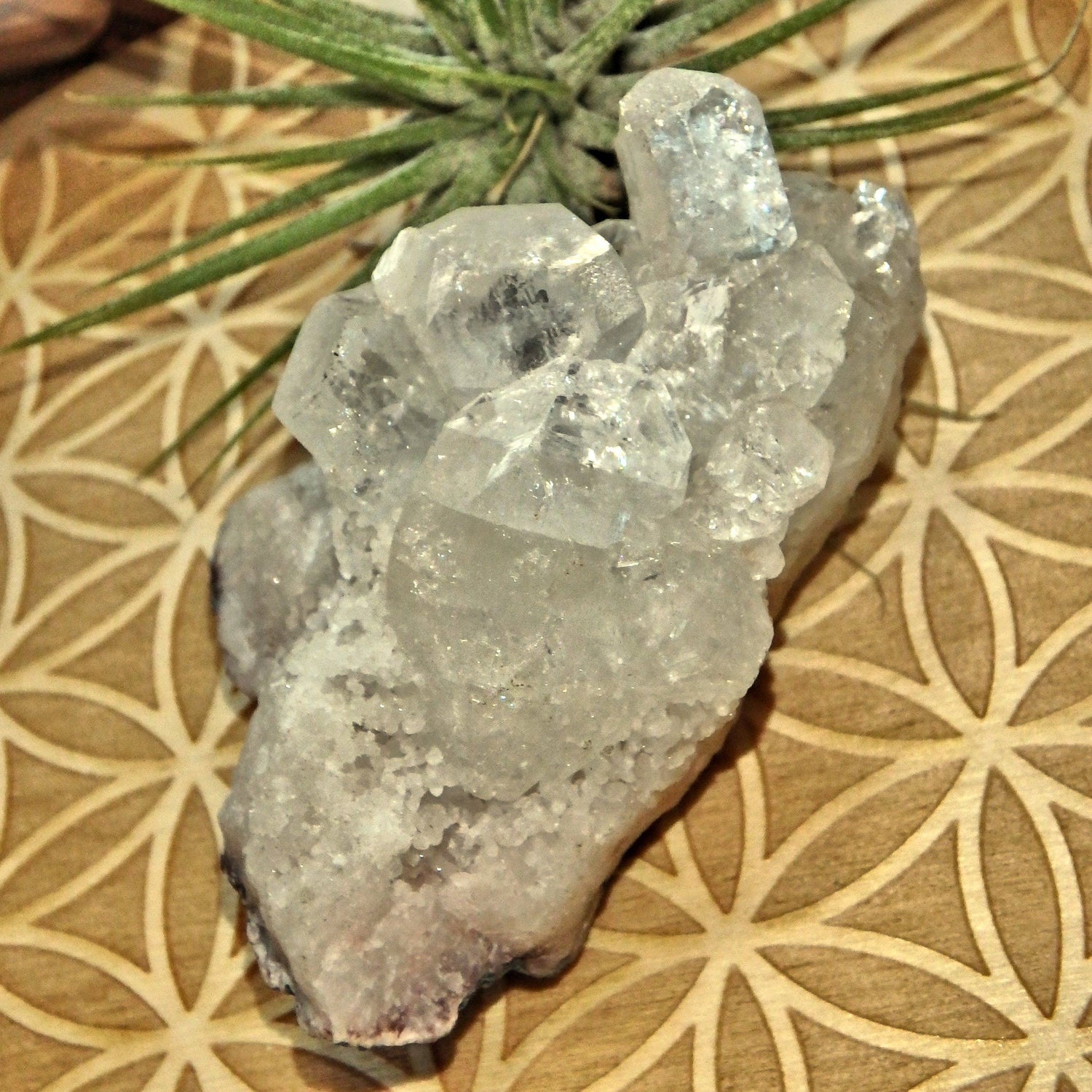  Angelic Clear Apophyllite Points Nestled on Matrix From India