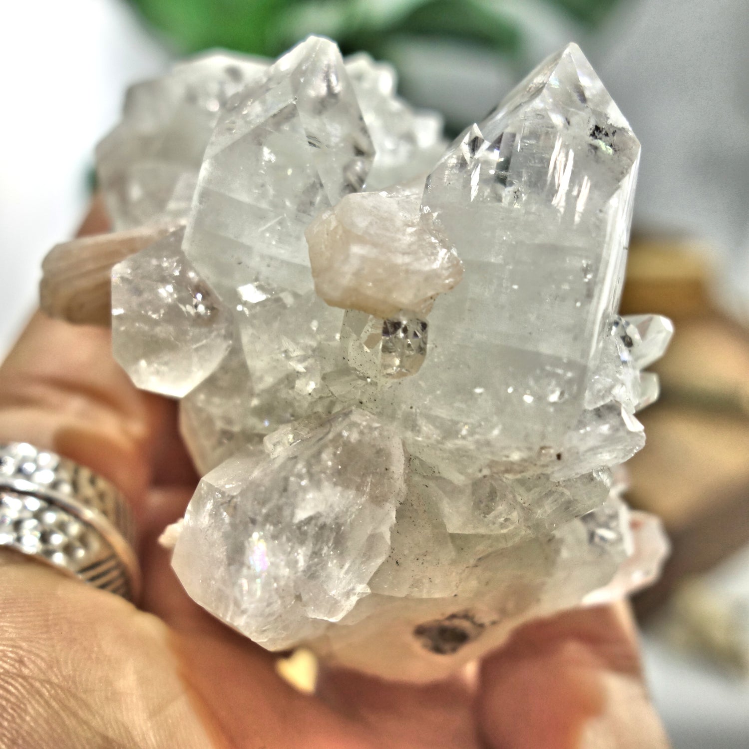 Gemmy Optical Apophyllite Cluster With Stilbite Inclusions From India - Earth Family Crystals