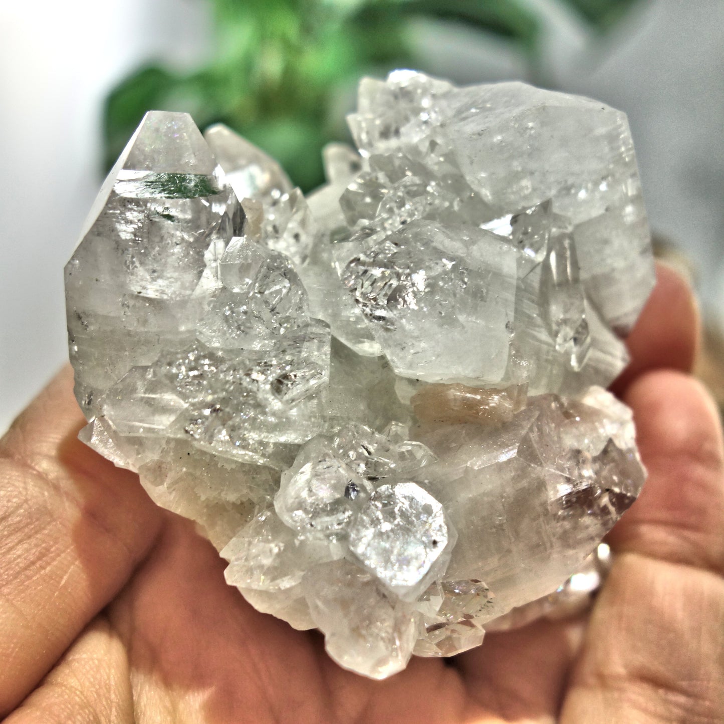 Gemmy Optical Apophyllite Cluster With Stilbite Inclusions From India - Earth Family Crystals