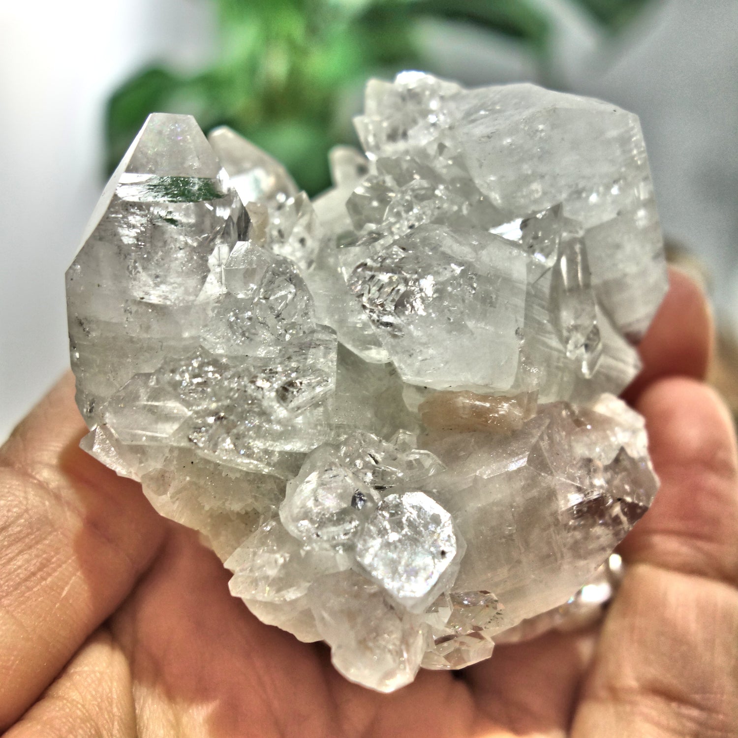 Gemmy Optical Apophyllite Cluster With Stilbite Inclusions From India - Earth Family Crystals