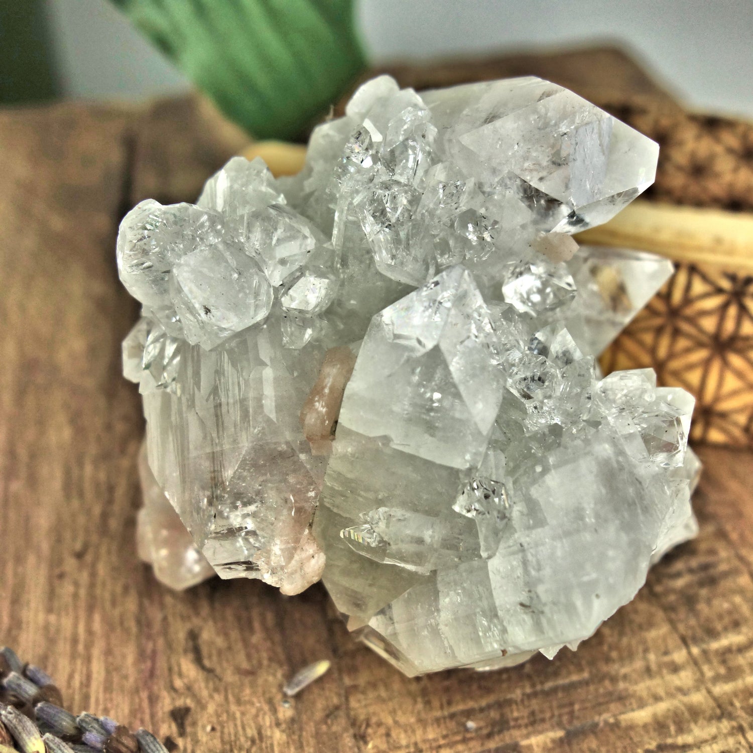 Gemmy Optical Apophyllite Cluster With Stilbite Inclusions From India - Earth Family Crystals