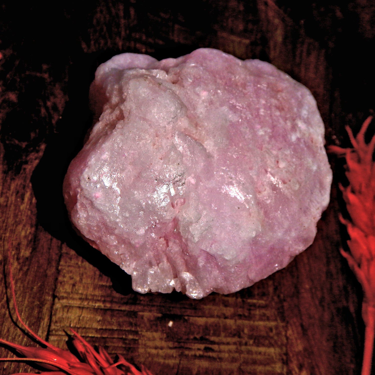  Cotton Candy Rose Pink Aragonite Natural Specimen