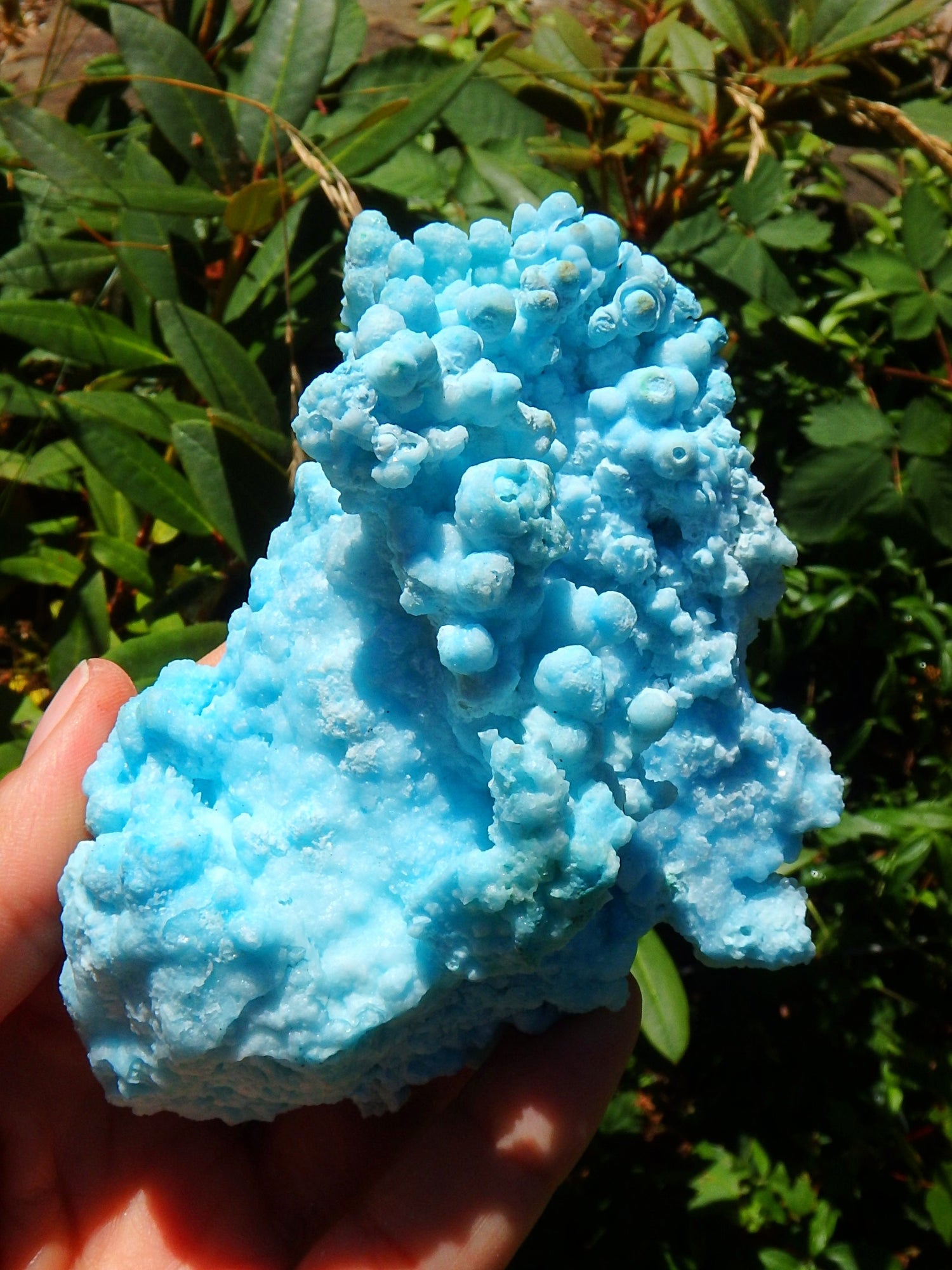 Incredible Cotton Candy Blue Aragonite 3D Depth Natural Specimen - Metiz Tier Price