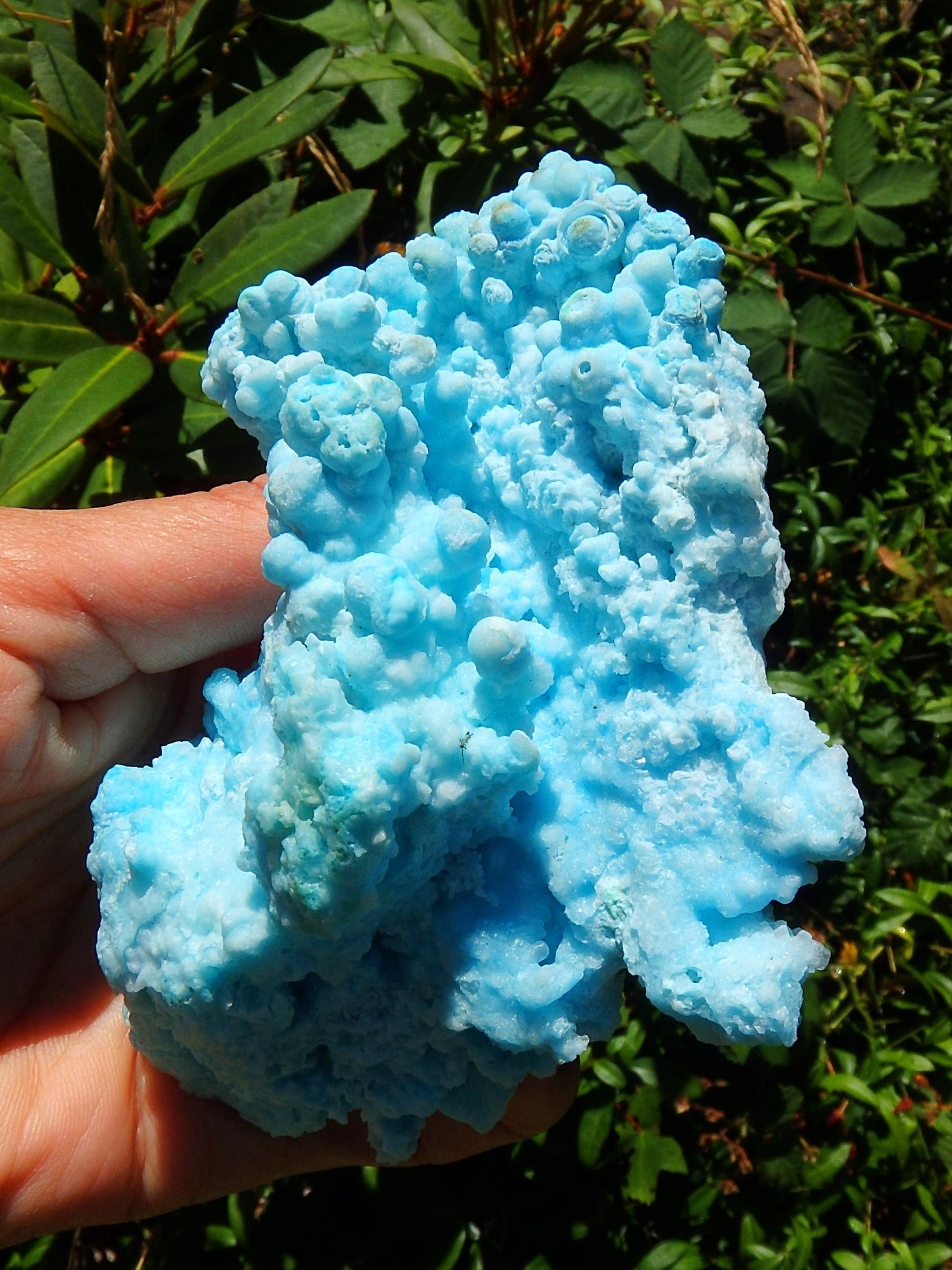 Incredible Cotton Candy Blue Aragonite 3D Depth Natural Specimen - Metiz Tier Price