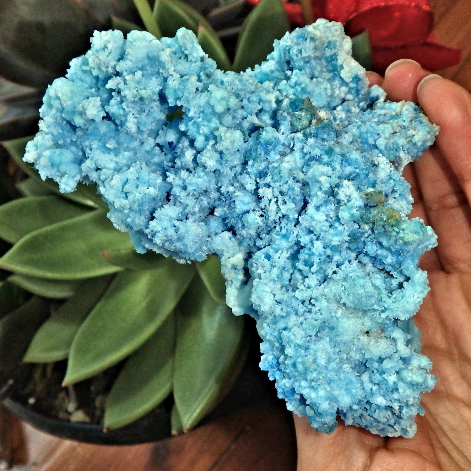 Intricate & Gorgeous Large Electric Blue Aragonite Specimen - Earth Family Crystals