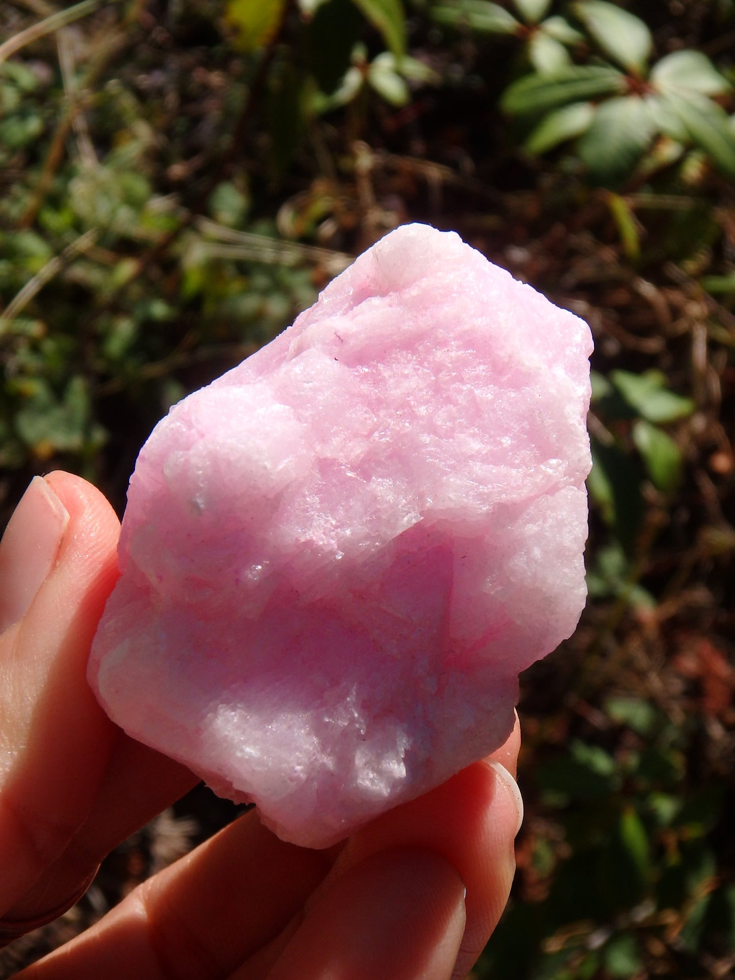 Pink Cotton Candy Aragonite Natural Chunk Specimen 1 - Earth Family Crystals