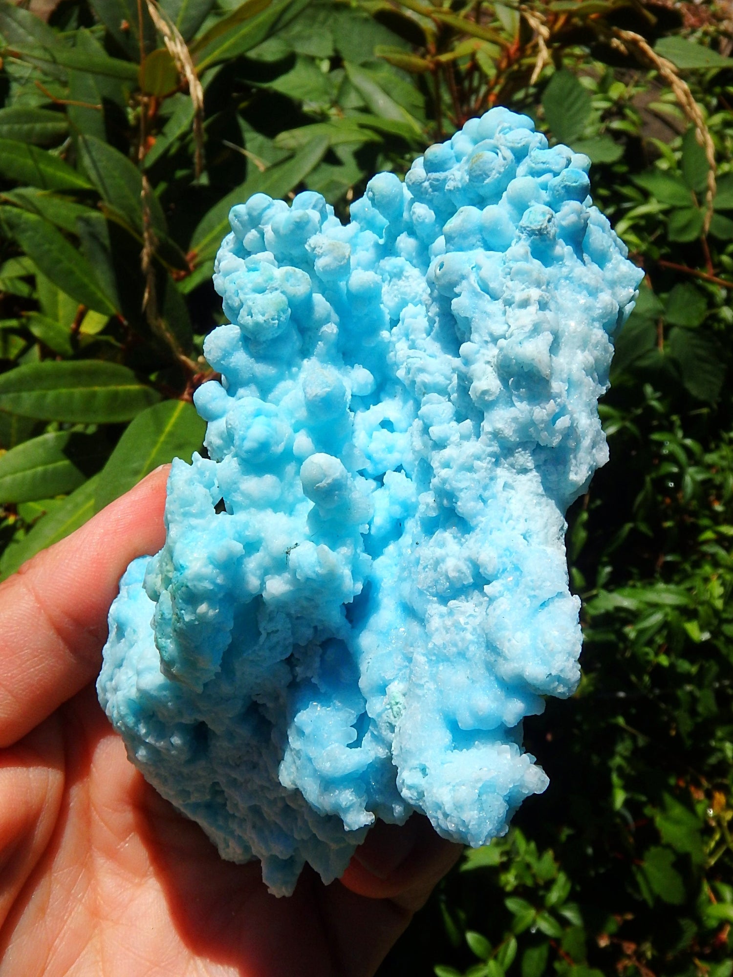 Incredible Cotton Candy Blue Aragonite 3D Depth Natural Specimen - Metiz Tier Price