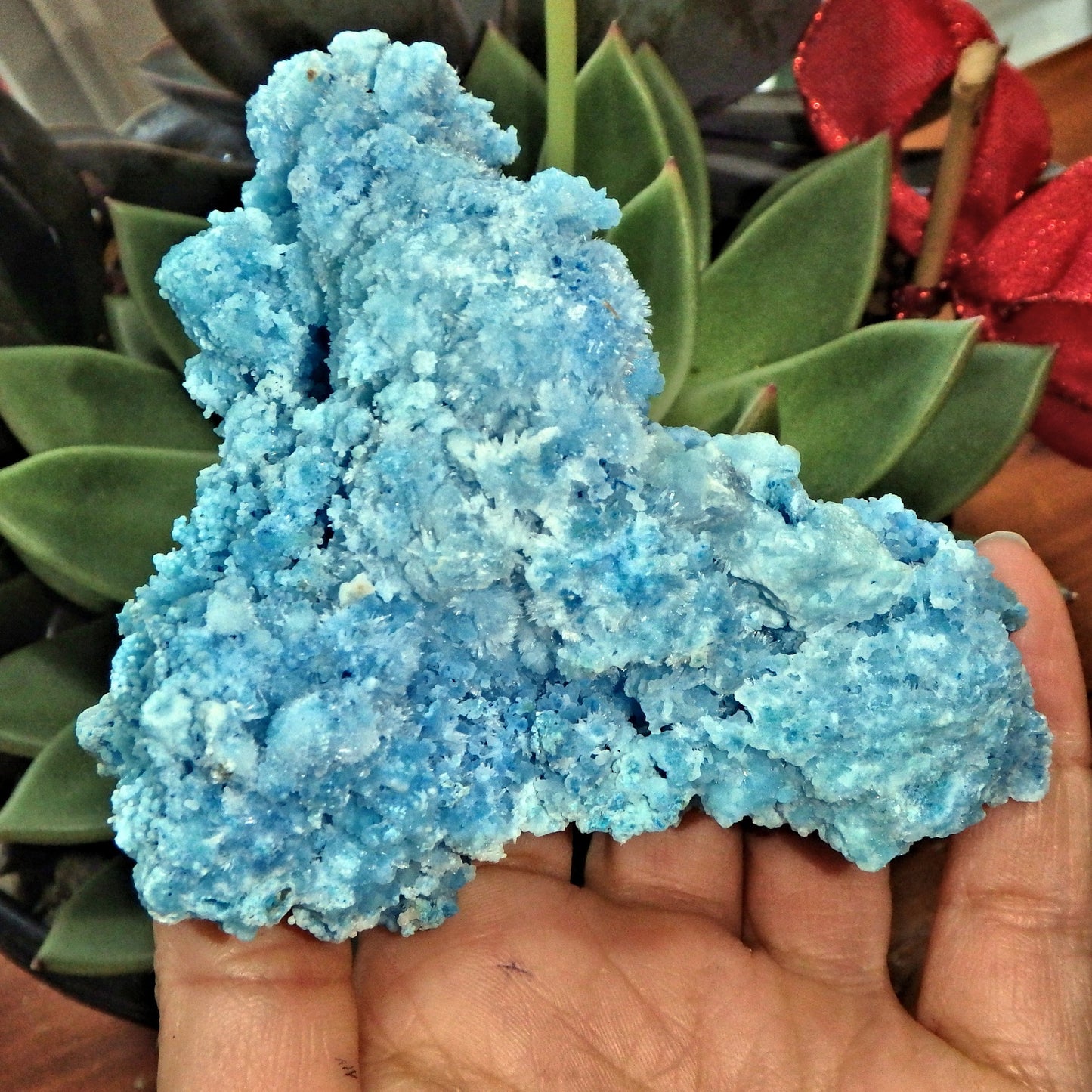 Intricate & Gorgeous Large Electric Blue Aragonite Specimen - Earth Family Crystals
