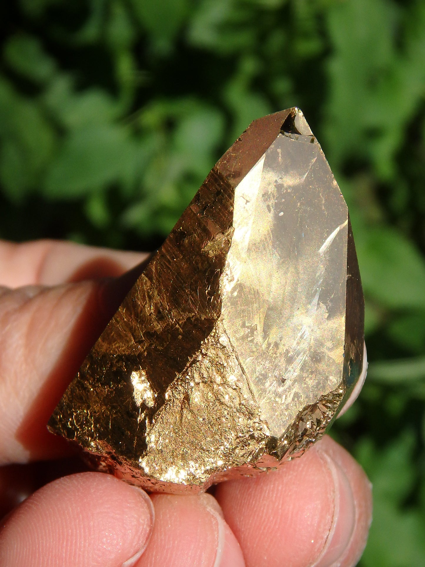 Shiny Gold Aura Quartz Point with Self Healing & Record Keepers - Metiz Tier Price
