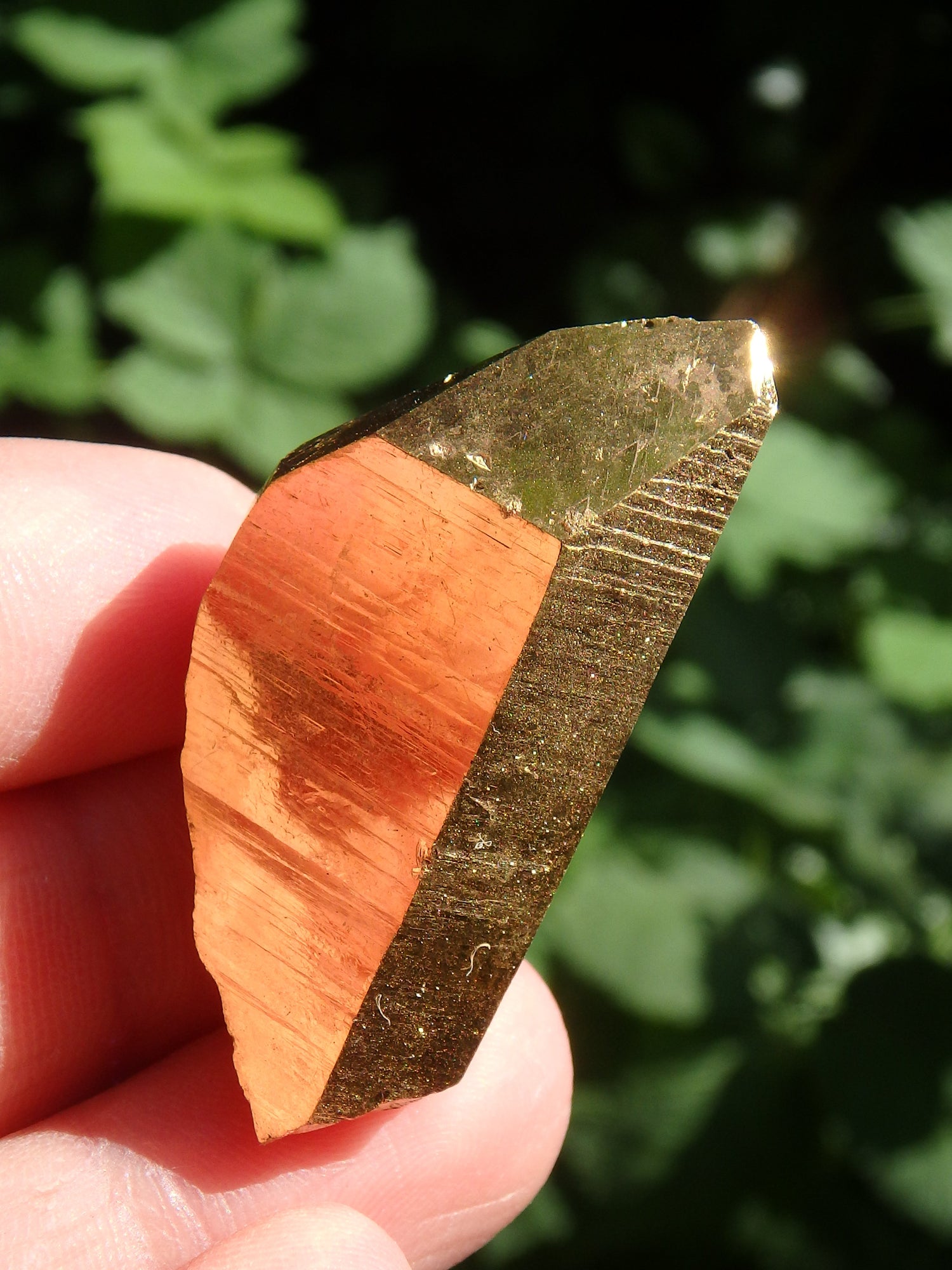 Shiny Gold Aura Quartz Point with Self Healing & Record Keepers - Metiz Tier Price