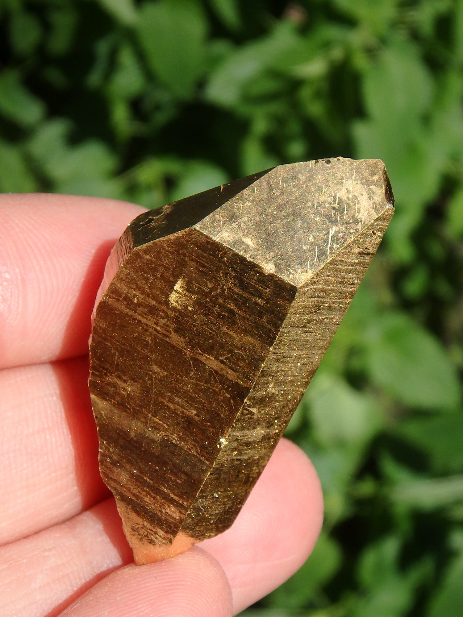 Shiny Gold Aura Quartz Point with Self Healing & Record Keepers - Metiz Tier Price