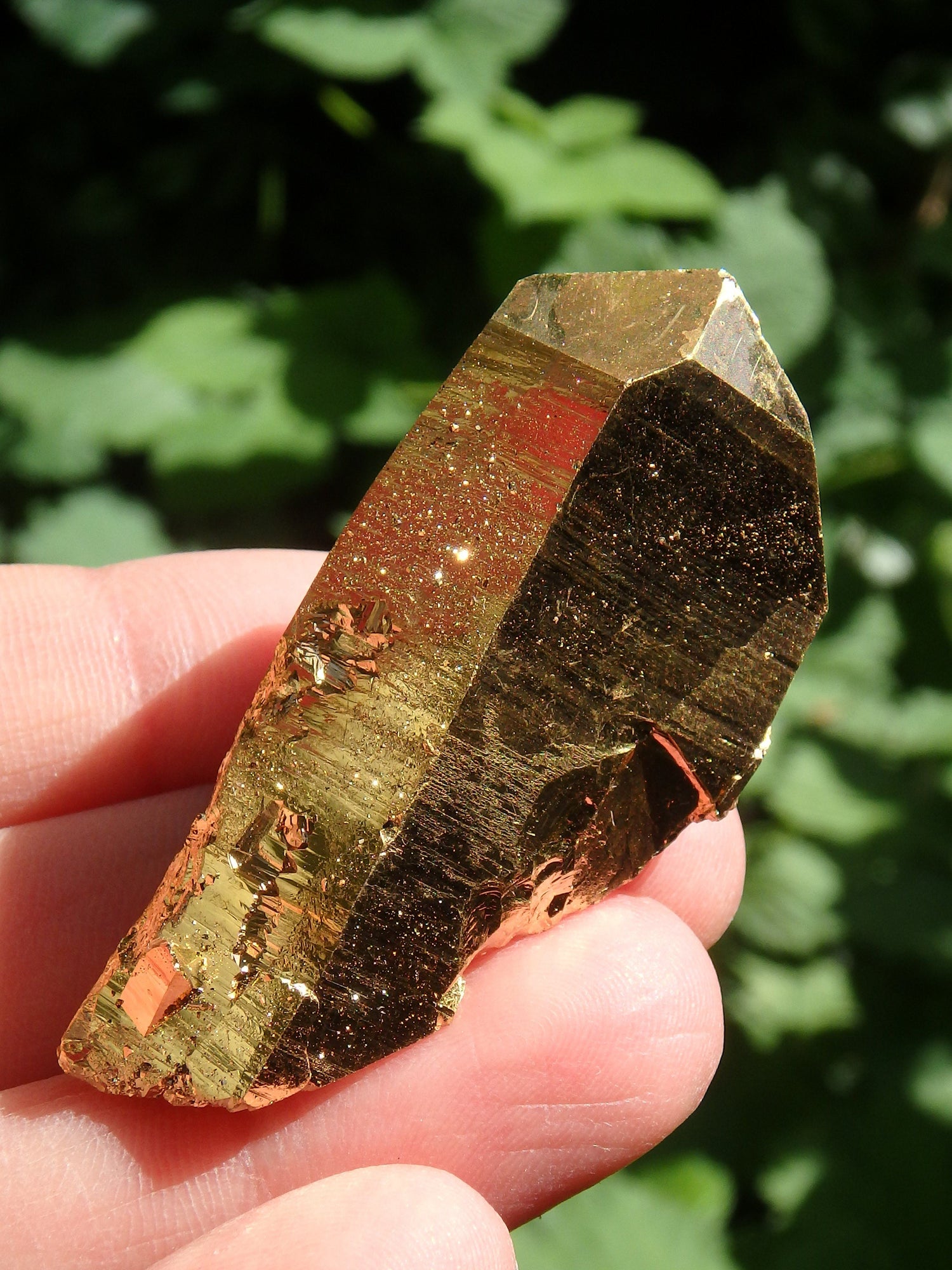  Brilliant DT Gold Aura Quartz Point With Record Keepers