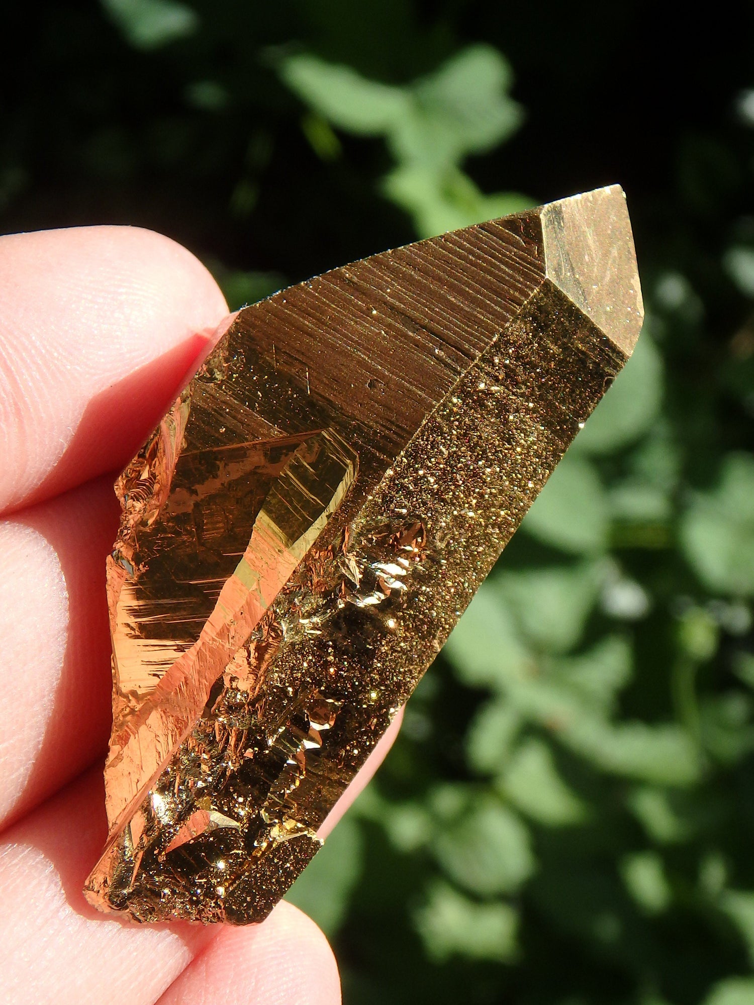  Brilliant DT Gold Aura Quartz Point With Record Keepers