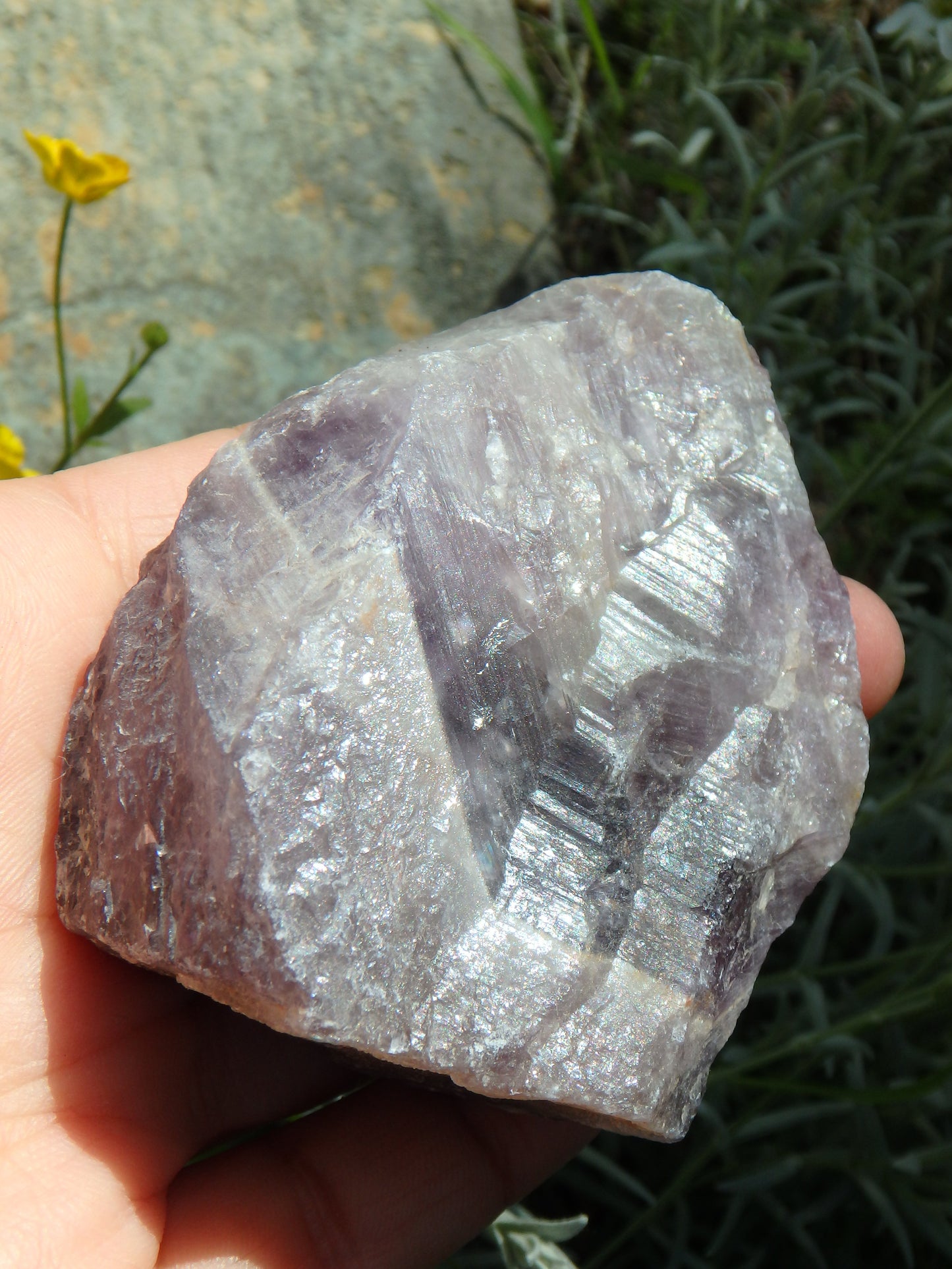 Standing Auralite-23 Canadian Reiki Stone Specimen - Metiz Tier Price