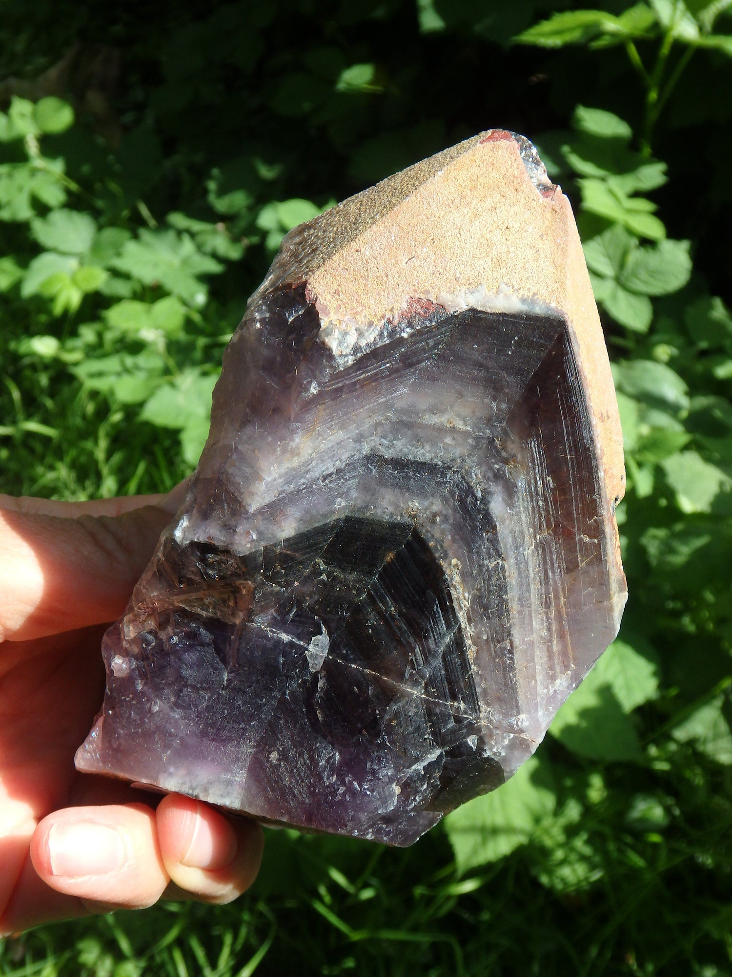  Deep Grape Purple & Record Keeper Hematite Tip Large Auralite-23 Point From Canada