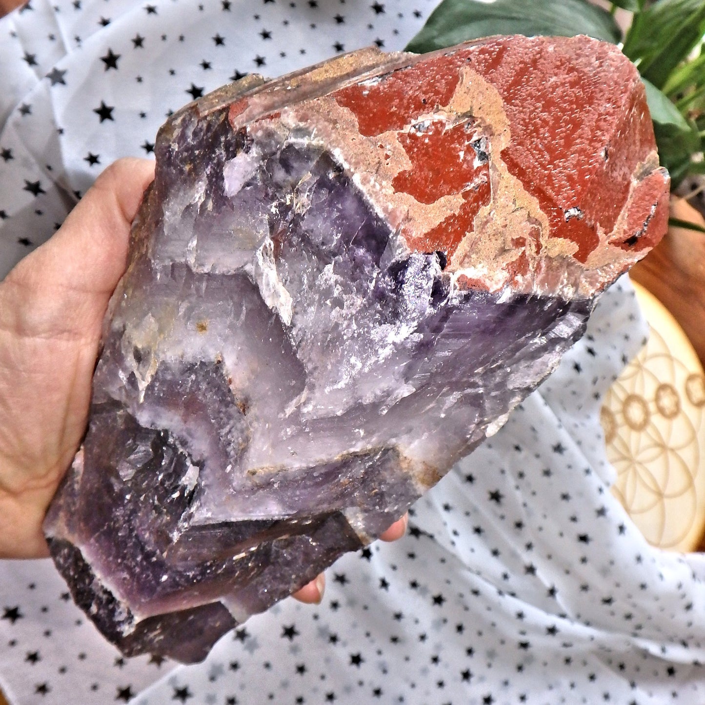 Incredible XXL Red Hematite & Quartz Druzy Crusted Tipped  Auralite-23 Point With Record Keepers From Ontario  Canada