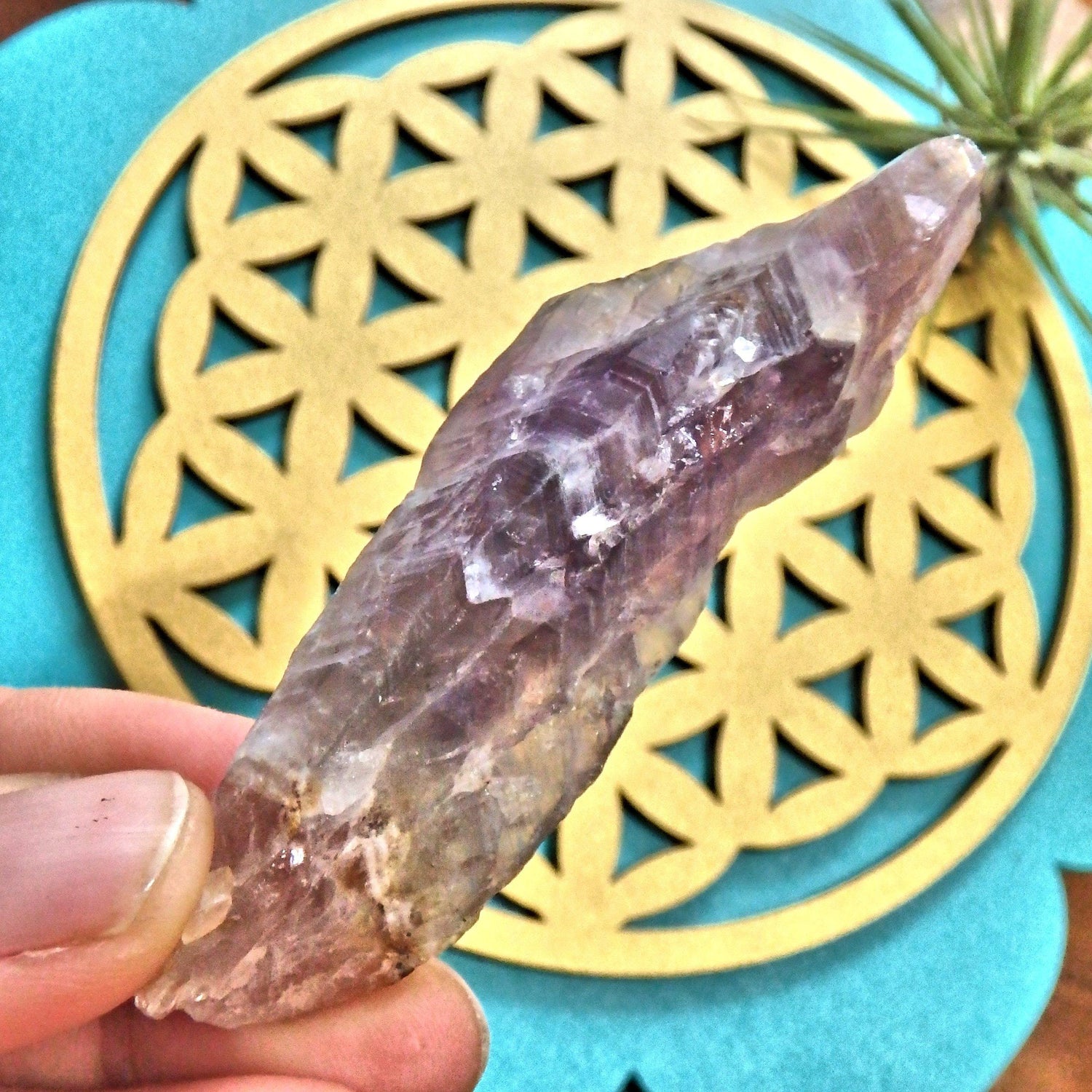  Cute Purple Point of Auralite-23 From Ontario, Canada