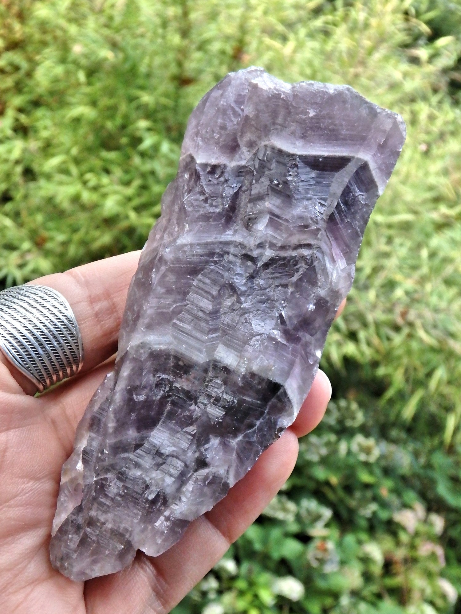 Gorgeous Purple Chevron Auralite-23 Point From Ontario, Canada - Earth Family Crystals