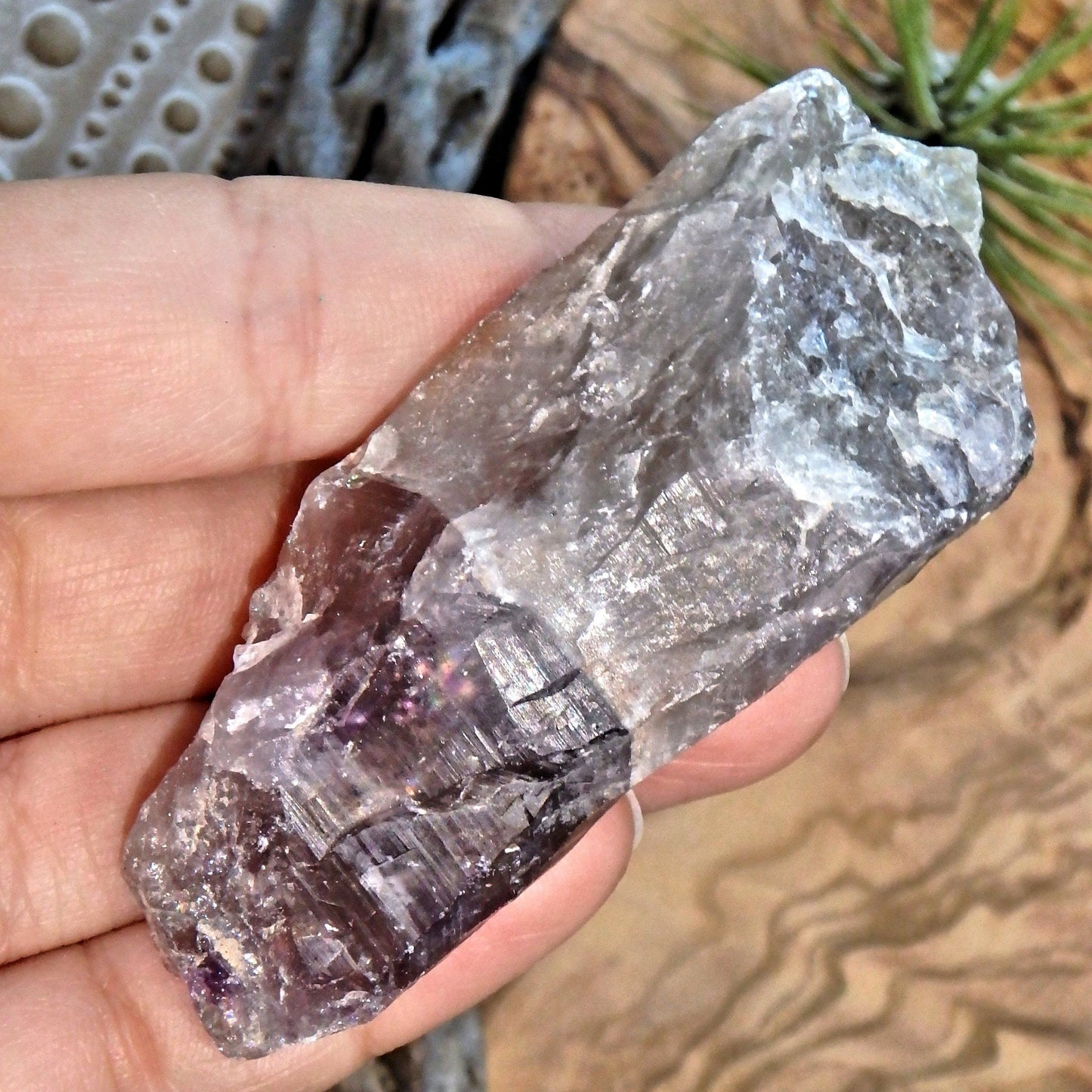  Awakened Mint Green & Purple Auralite-23 Point from Canada