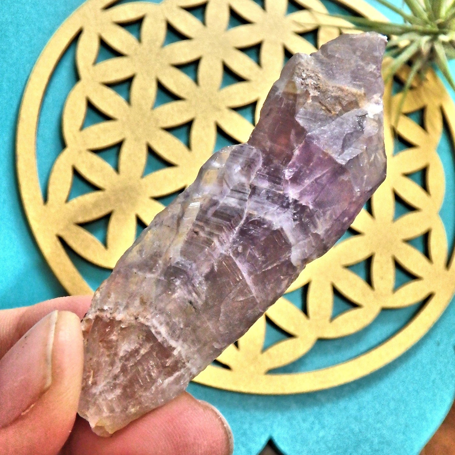  Cute Purple Point of Auralite-23 From Ontario, Canada