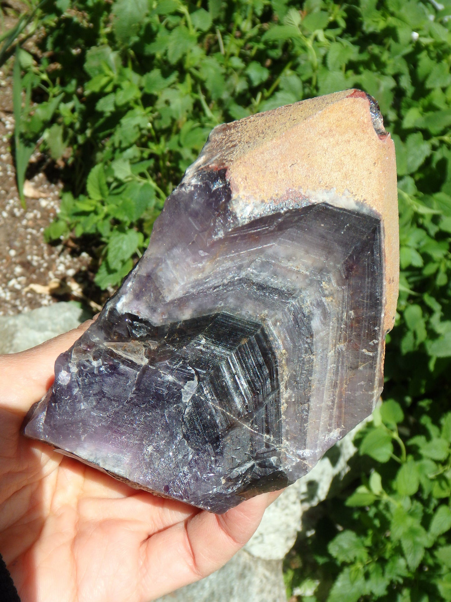 Deep Grape Purple & Record Keeper Hematite Tip Large Auralite-23 Point From Canada