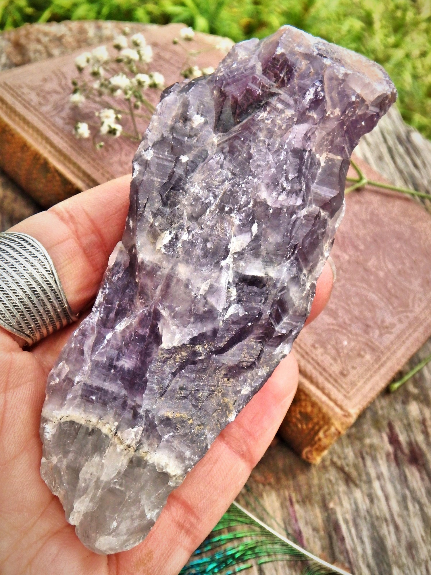 High Vibration Genuine Auralite-23 Point From Ontario, Canada 3 - Earth Family Crystals