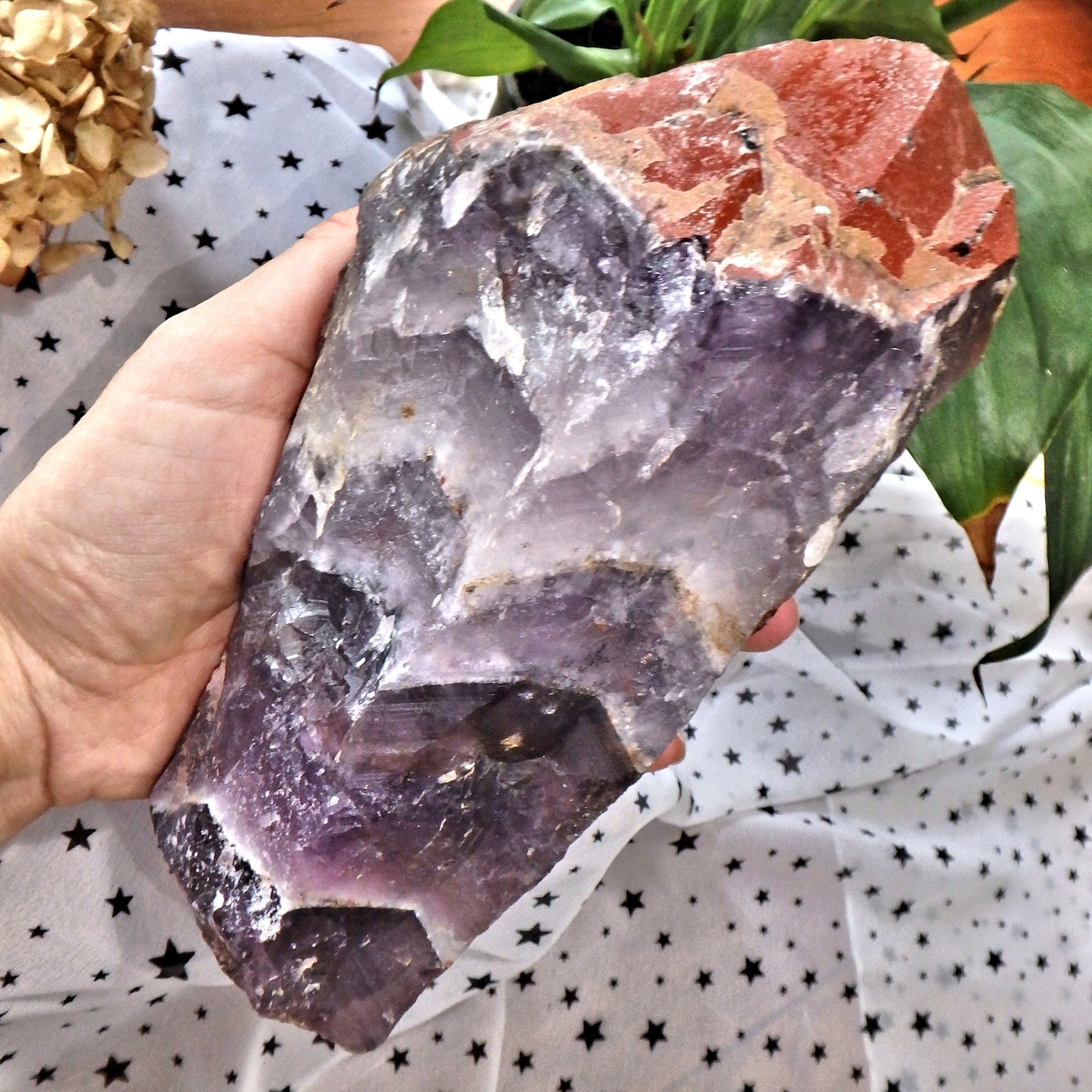 Incredible XXL Red Hematite & Quartz Druzy Crusted Tipped  Auralite-23 Point With Record Keepers From Ontario  Canada