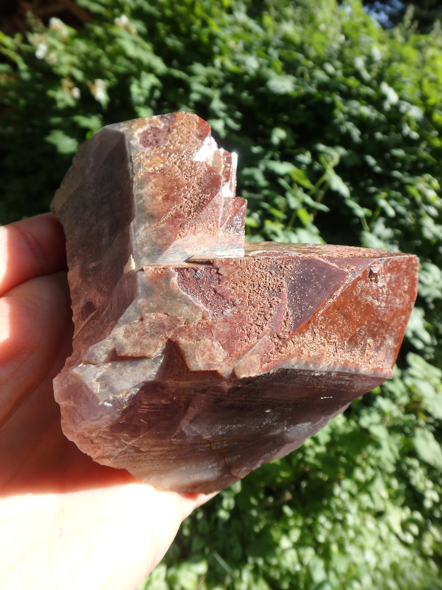 Incredible Red Mountain Large Auralite-23 Reiki Stone Standing Specimen With Record Keepers From Canada - Metiz Tier Price