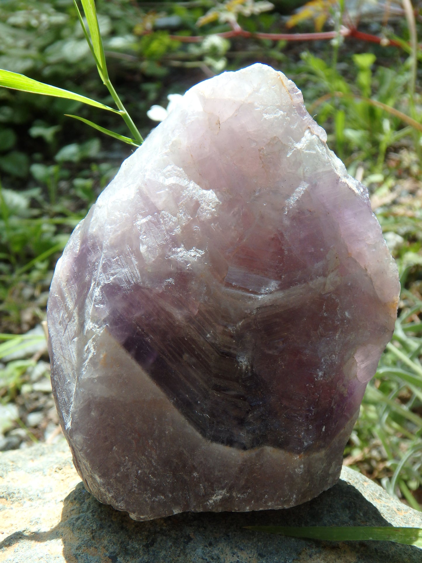 Standing Auralite-23 Canadian Reiki Stone Specimen - Metiz Tier Price