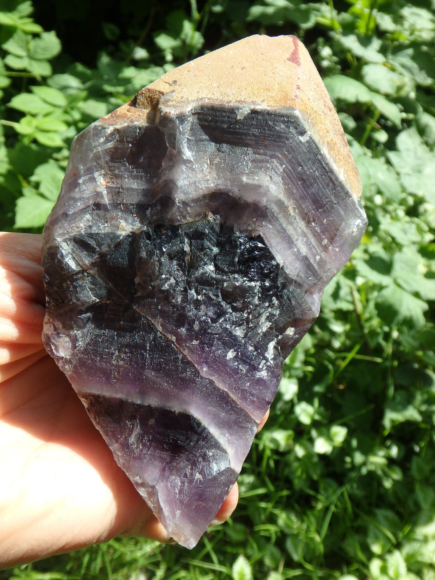  Deep Grape Purple & Record Keeper Hematite Tip Large Auralite-23 Point From Canada