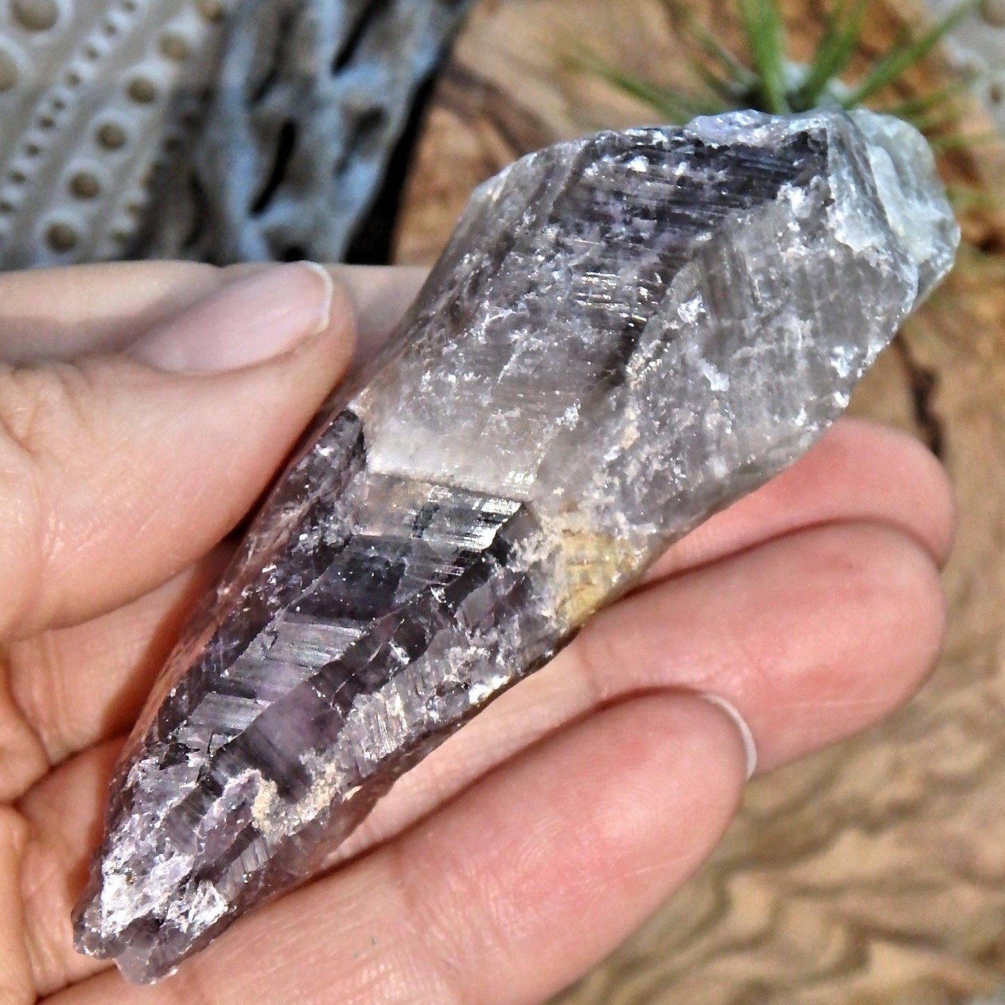  Awakened Mint Green & Purple Auralite-23 Point from Canada