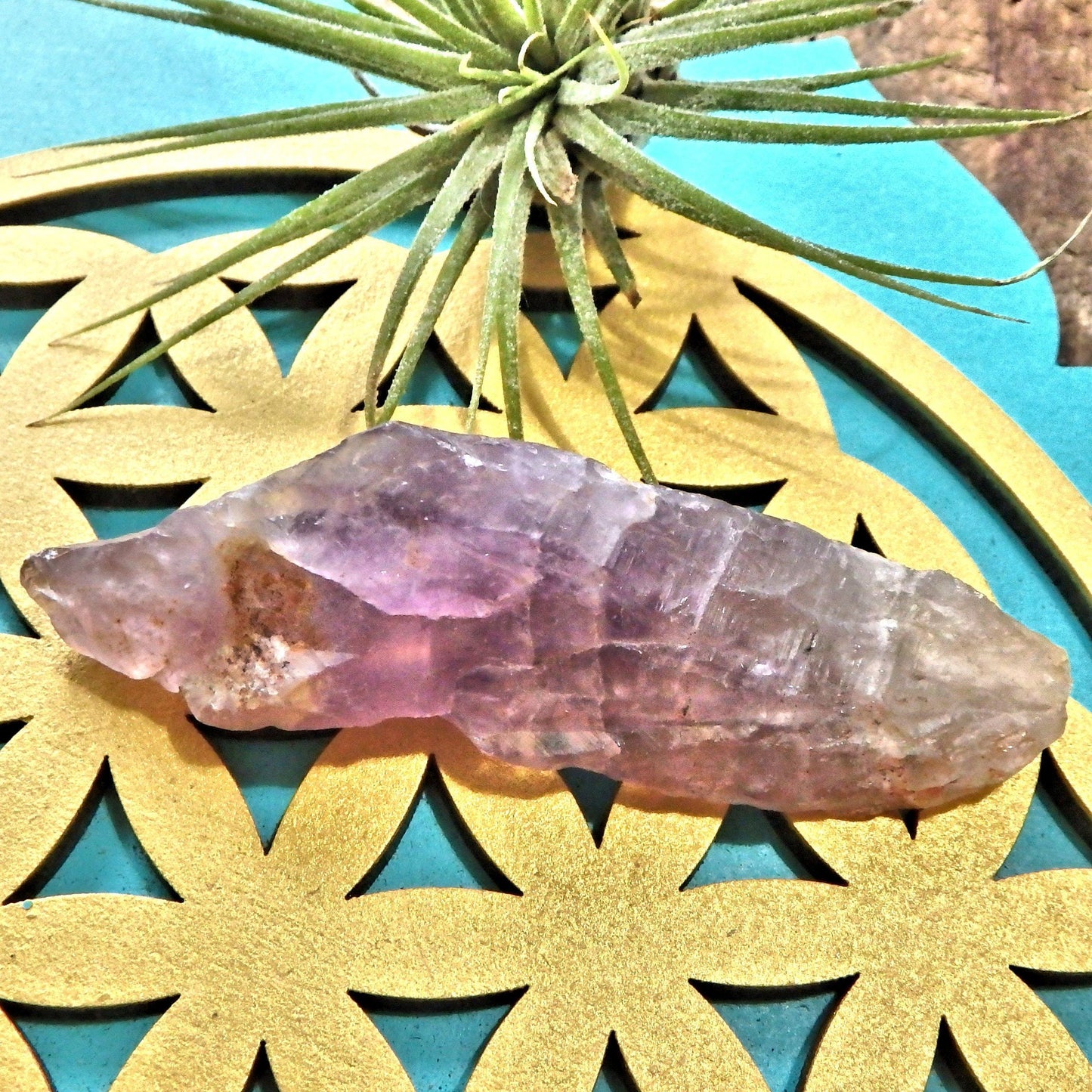  Cute Purple Point of Auralite-23 From Ontario, Canada
