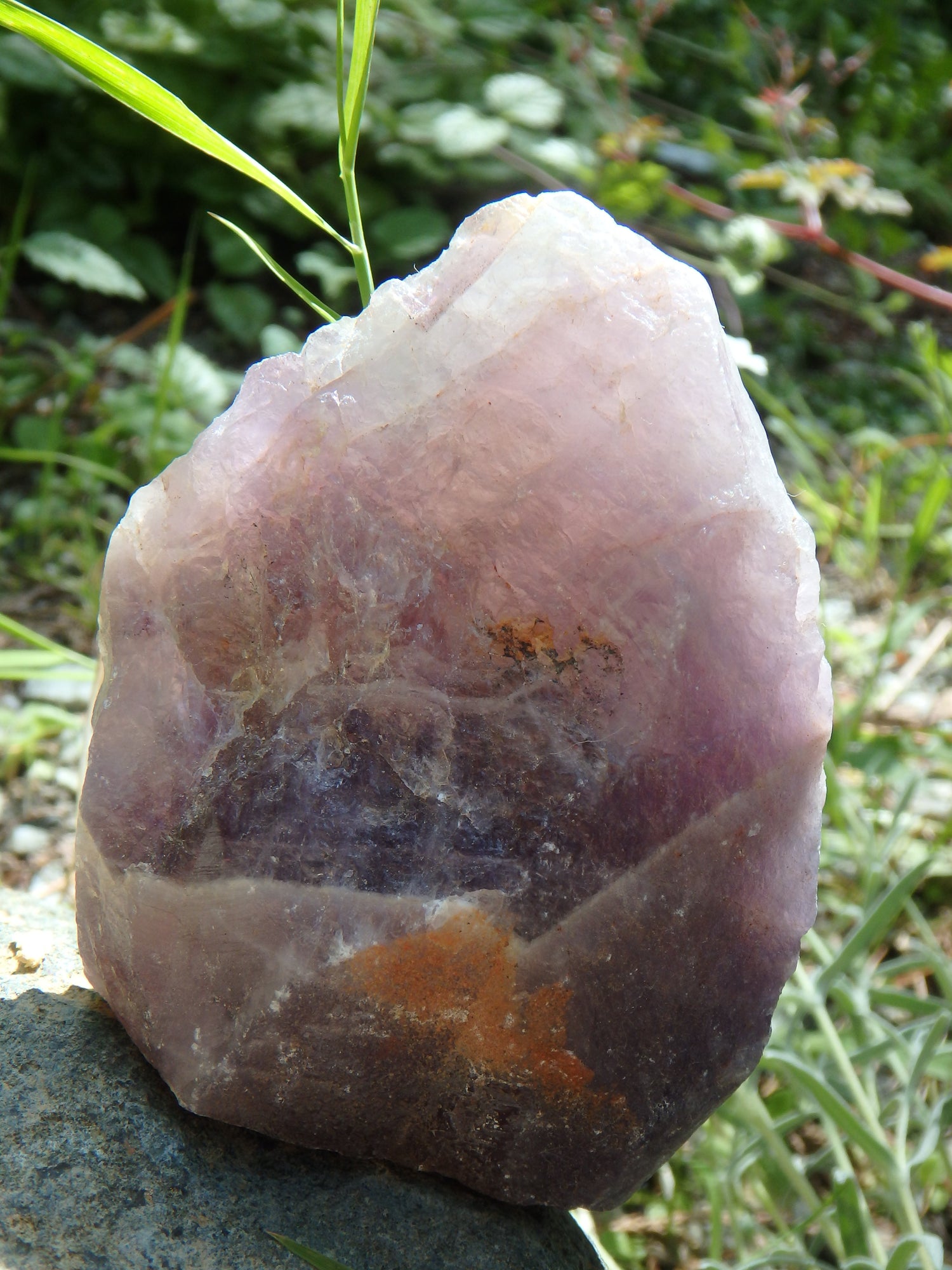 Standing Auralite-23 Canadian Reiki Stone Specimen - Metiz Tier Price