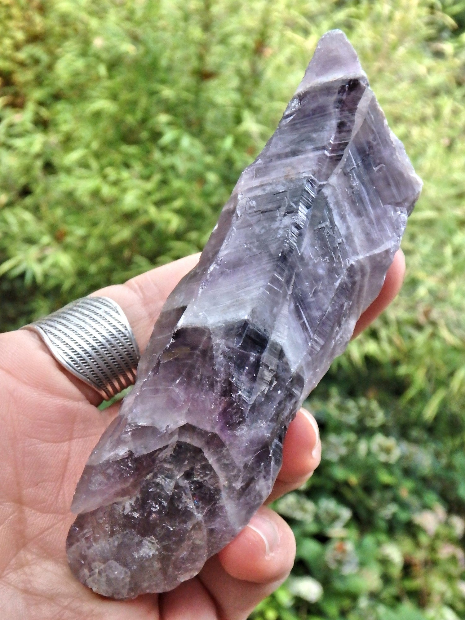Gorgeous Purple Chevron Auralite-23 Point From Ontario, Canada - Earth Family Crystals