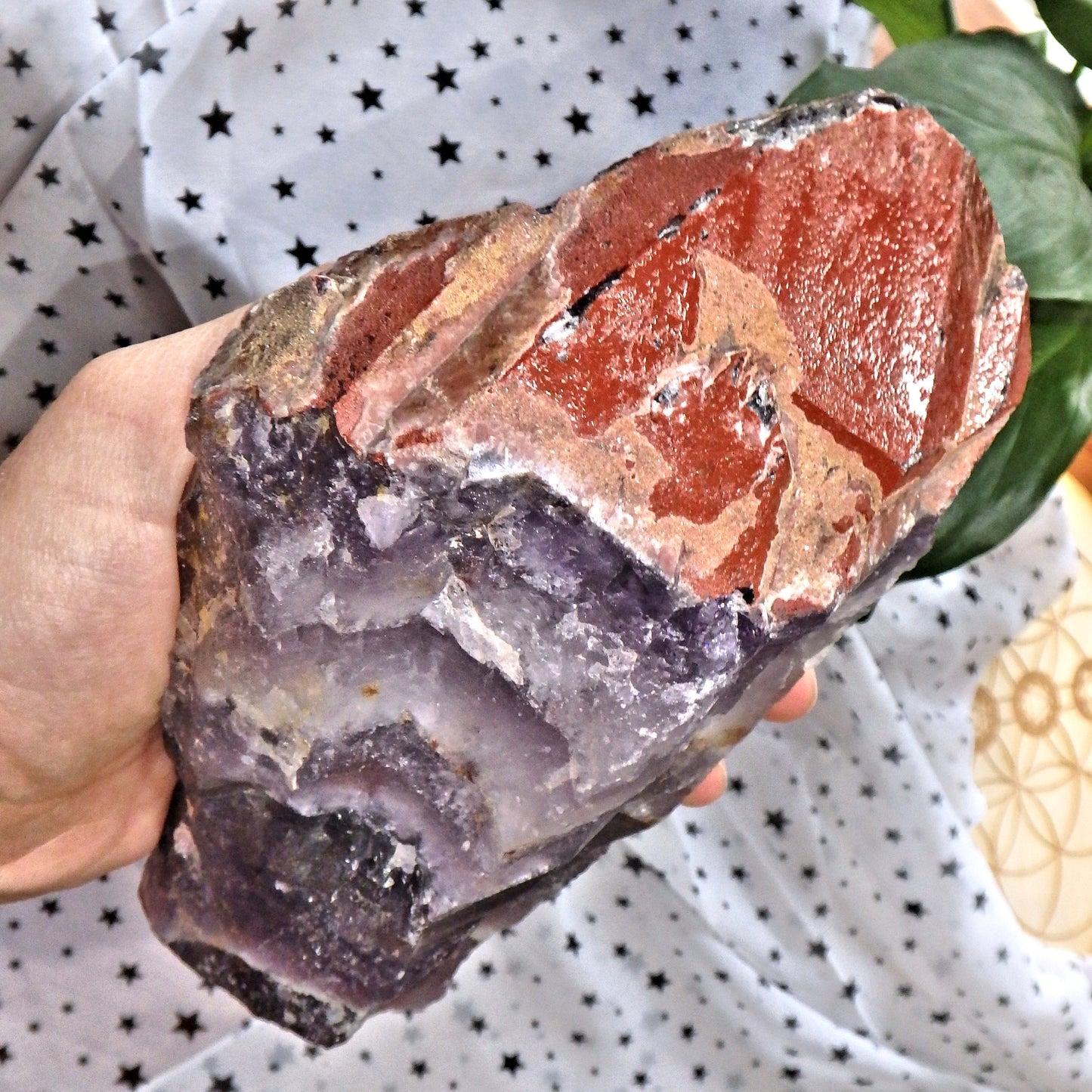 Incredible XXL Red Hematite & Quartz Druzy Crusted Tipped  Auralite-23 Point With Record Keepers From Ontario  Canada