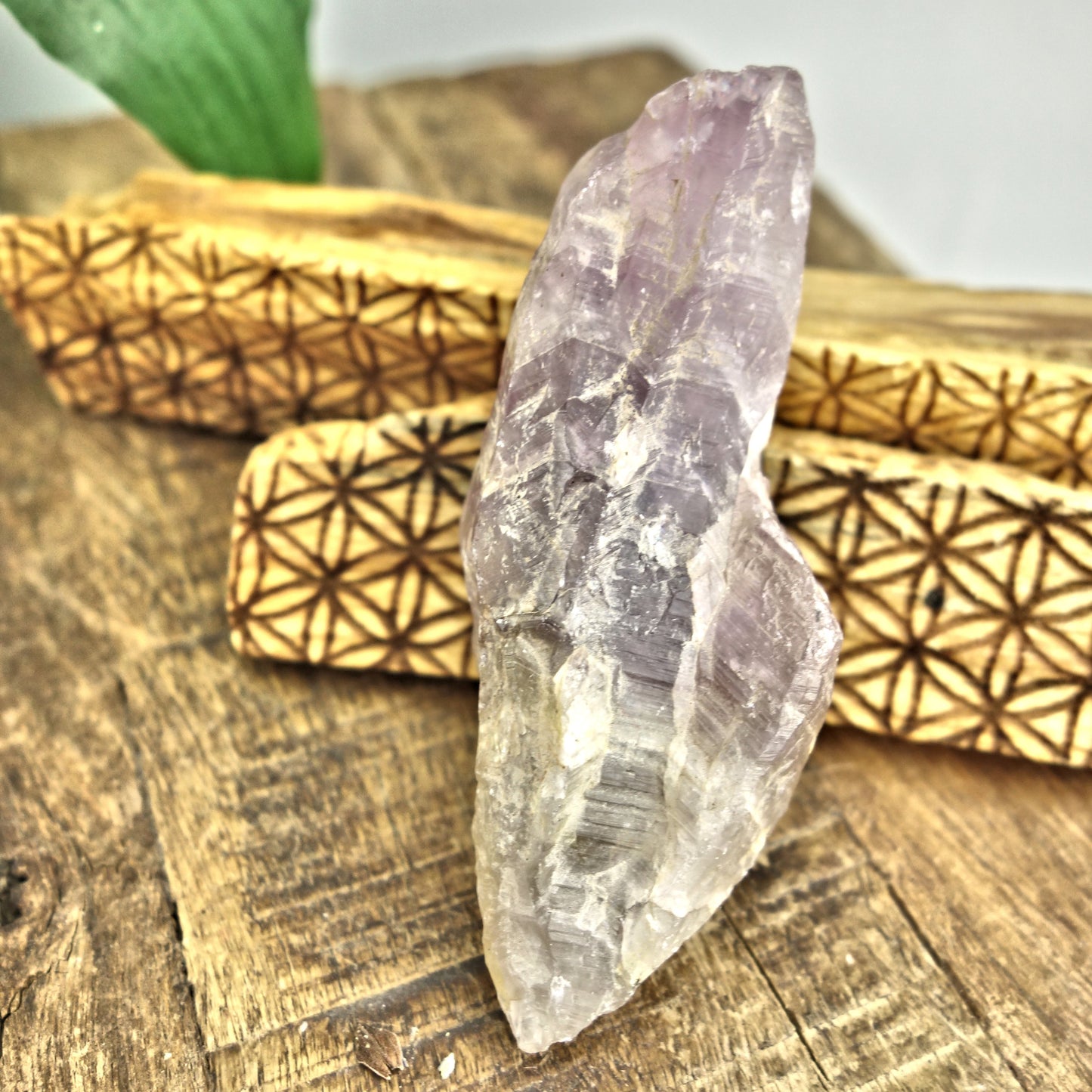 Powerful Genuine Auralite-23 Point From Ontario, Canada 4