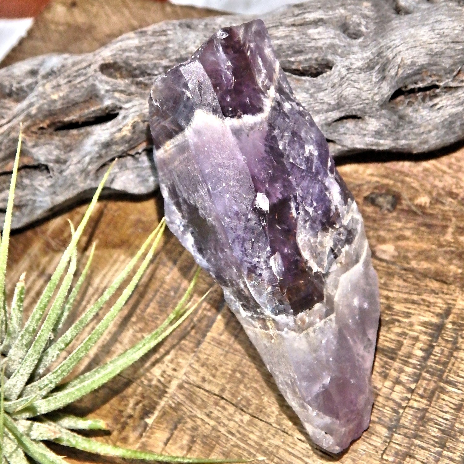 Gorgeous Deep Purple Auralite-23 Point From Ontario, Canada - Earth Family Crystals